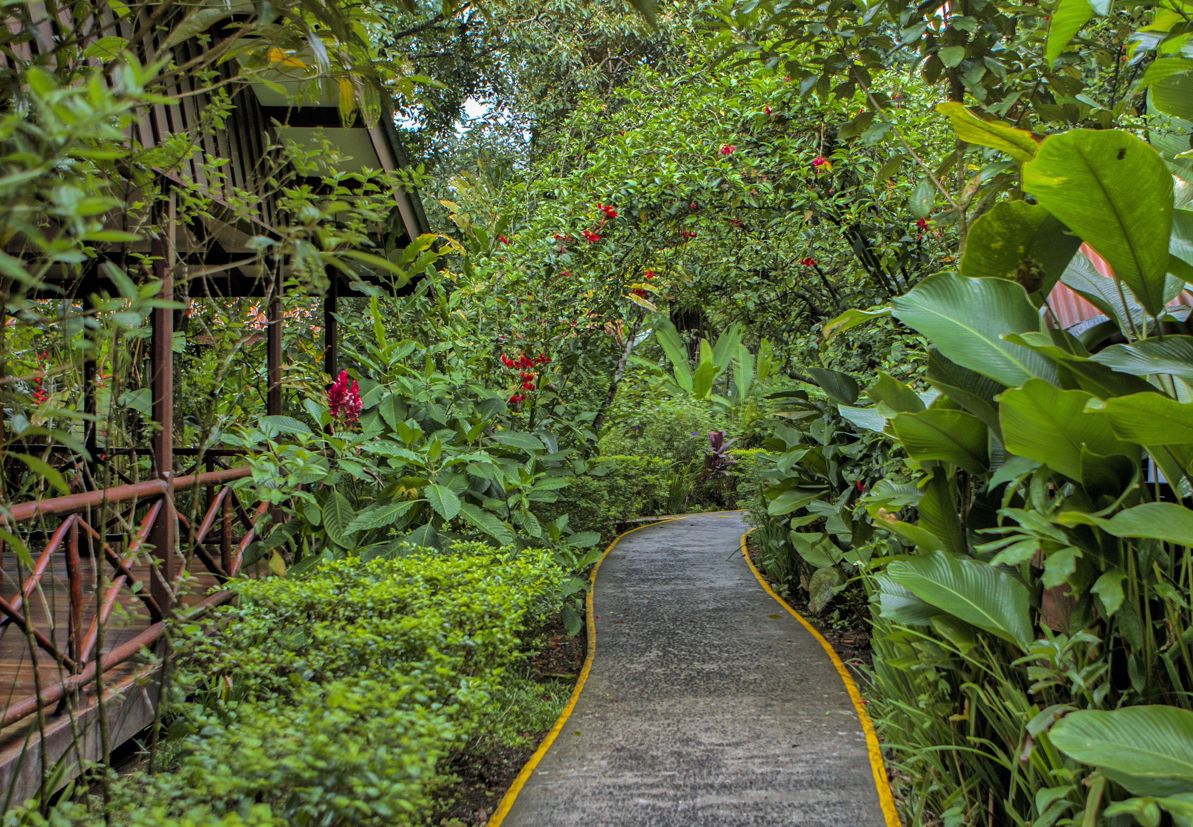Pachira Lodge