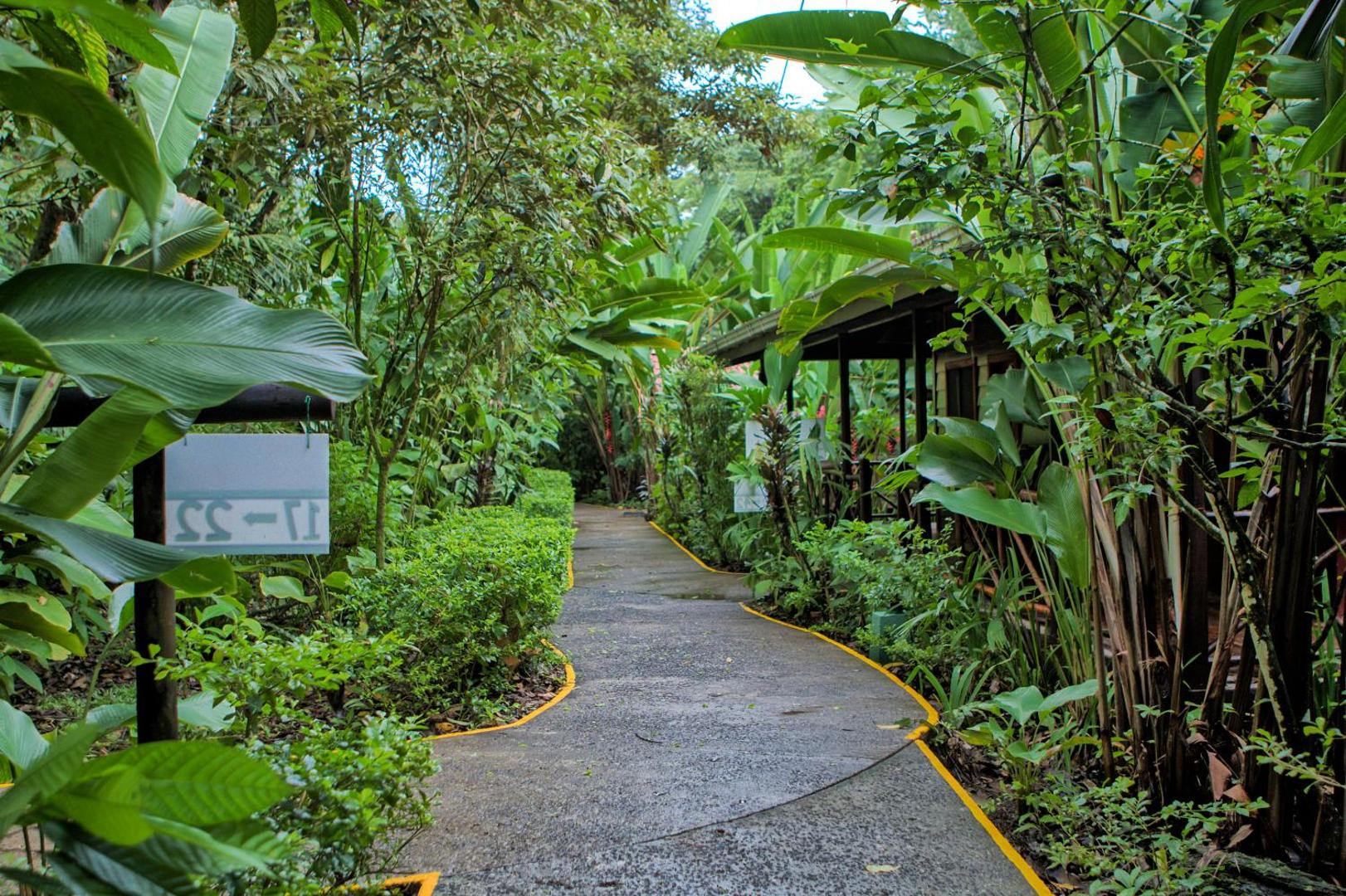 Pachira Lodge