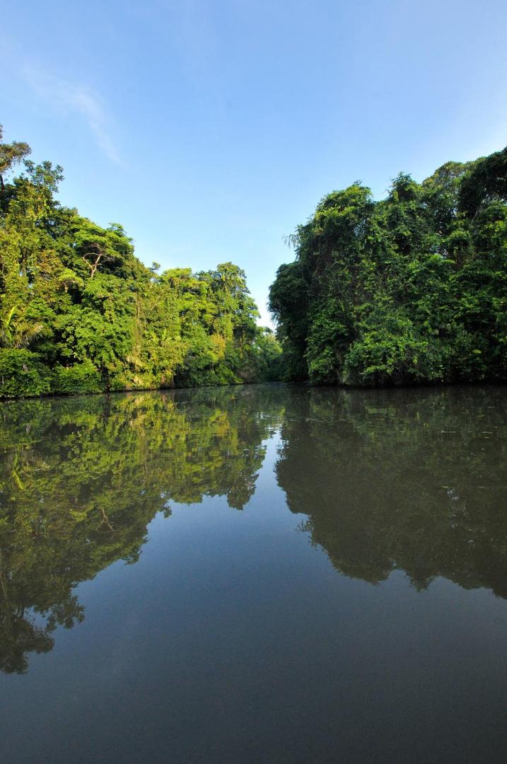 Pachira Lodge