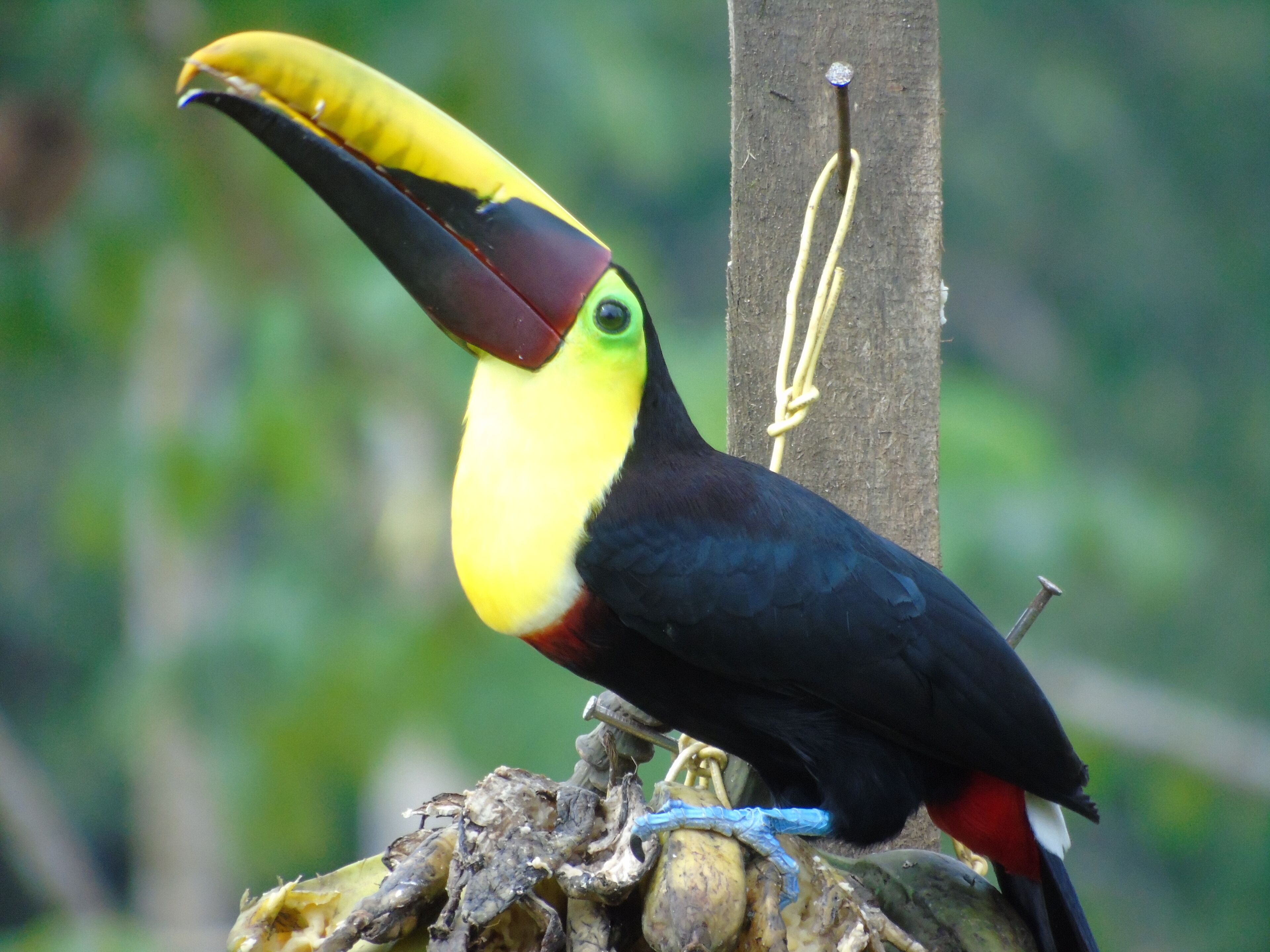 El Tesoro de Sir Hotel