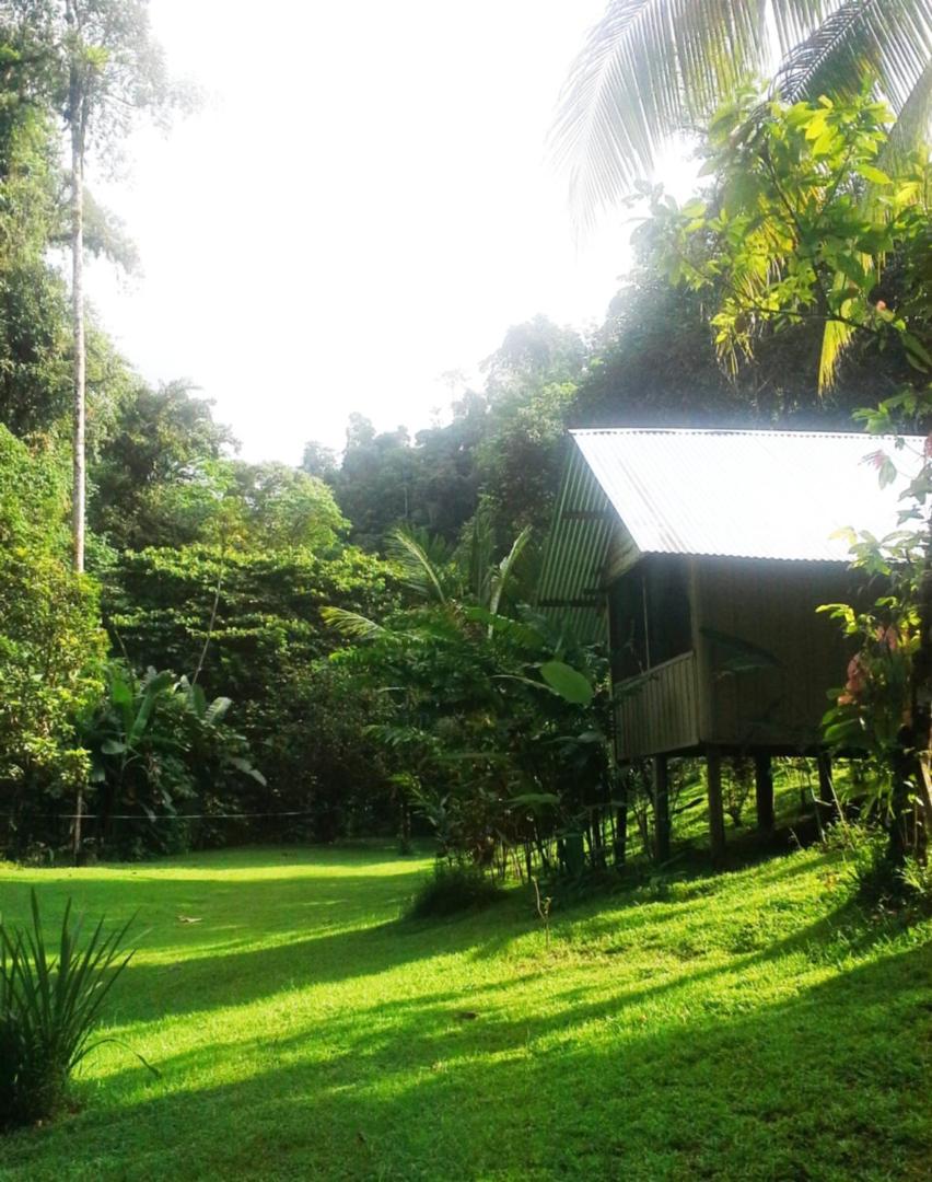 Estacion Biologica Tamandua