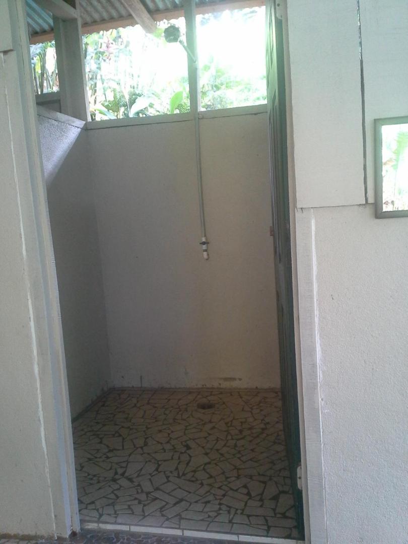 Estacion Biologica Tamandua