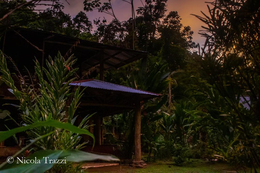 Estacion Biologica Tamandua