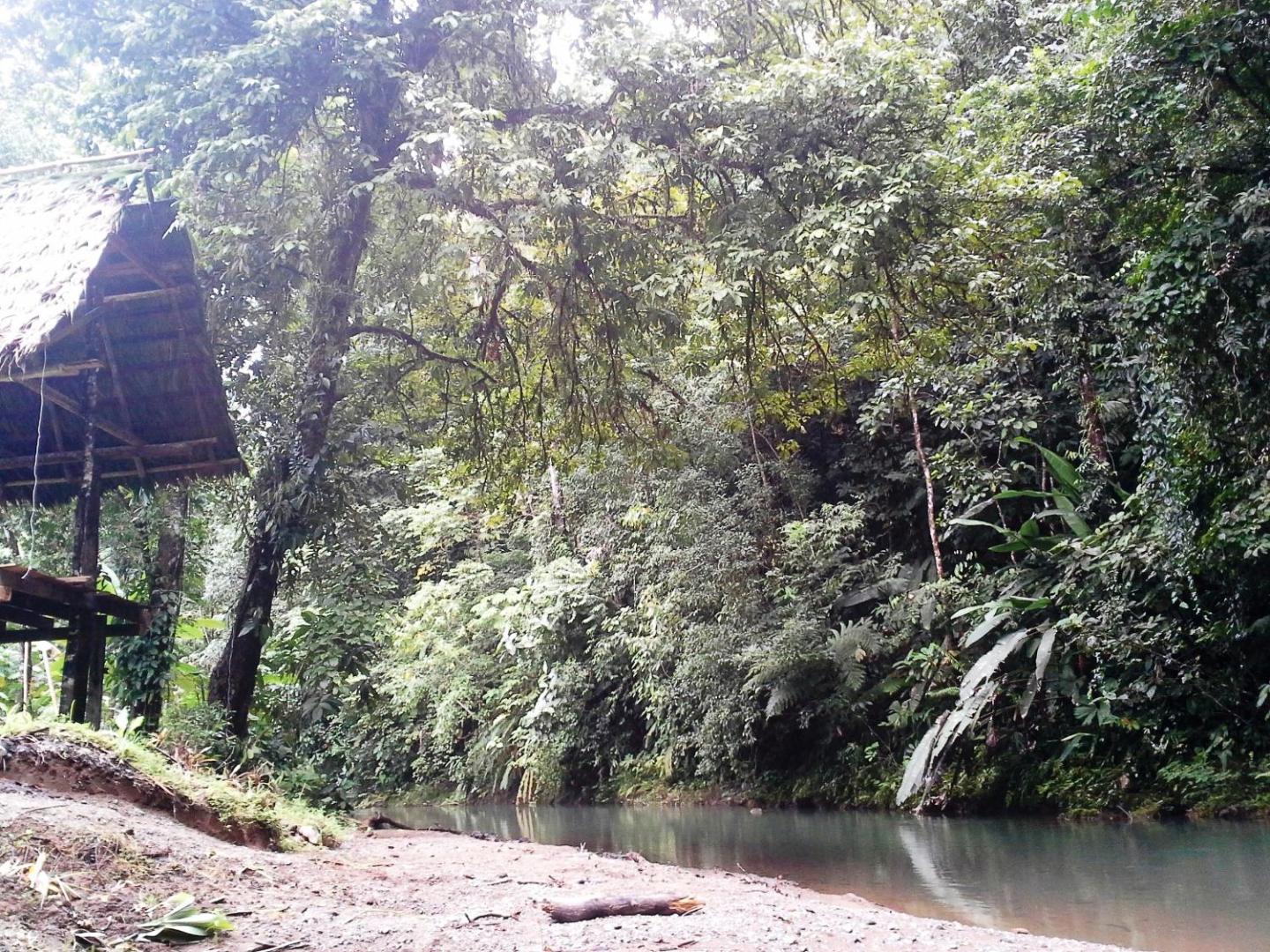 Estacion Biologica Tamandua