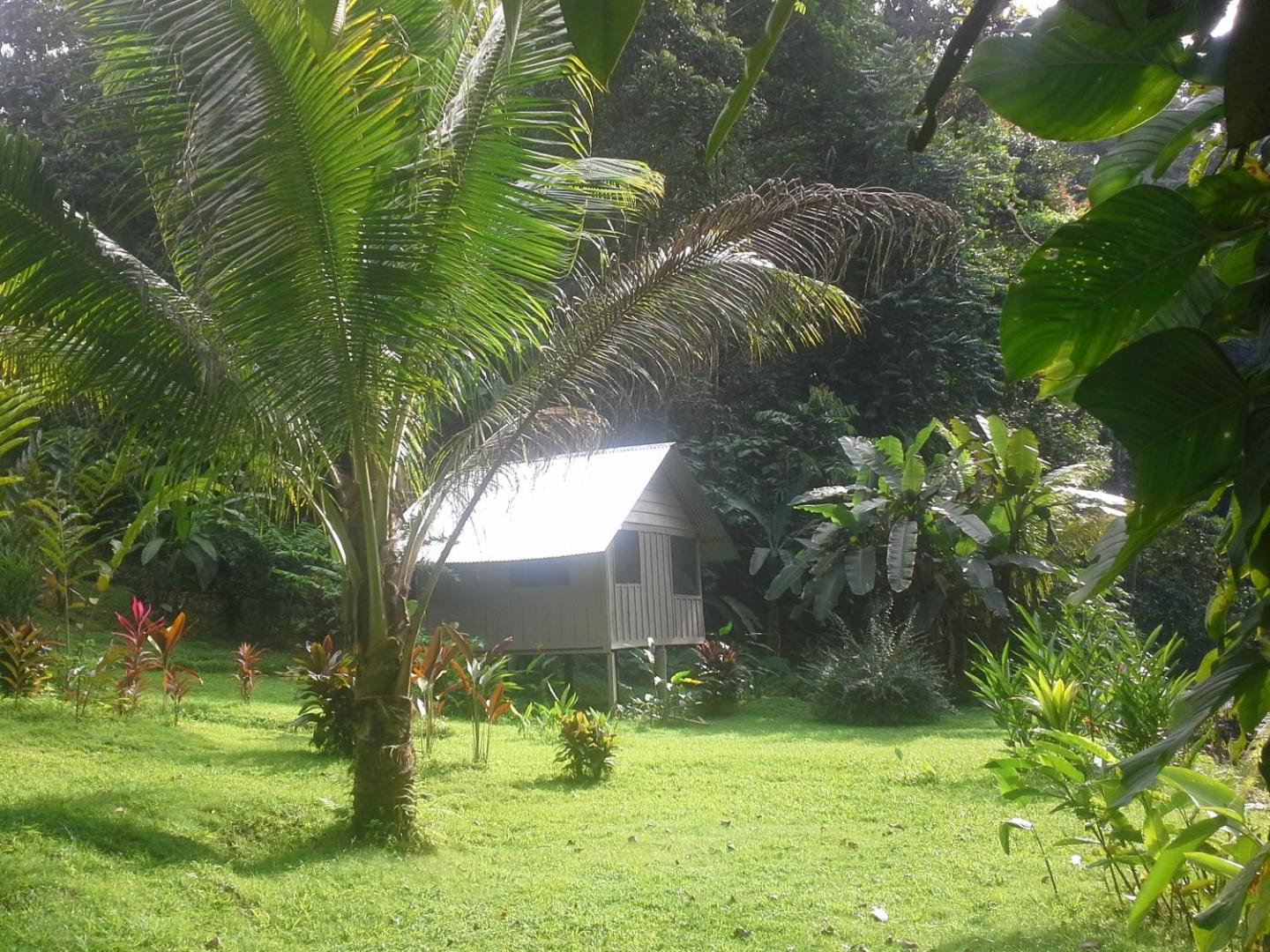 Estacion Biologica Tamandua