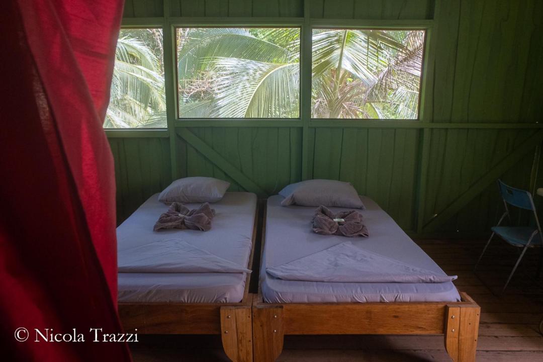 Estacion Biologica Tamandua