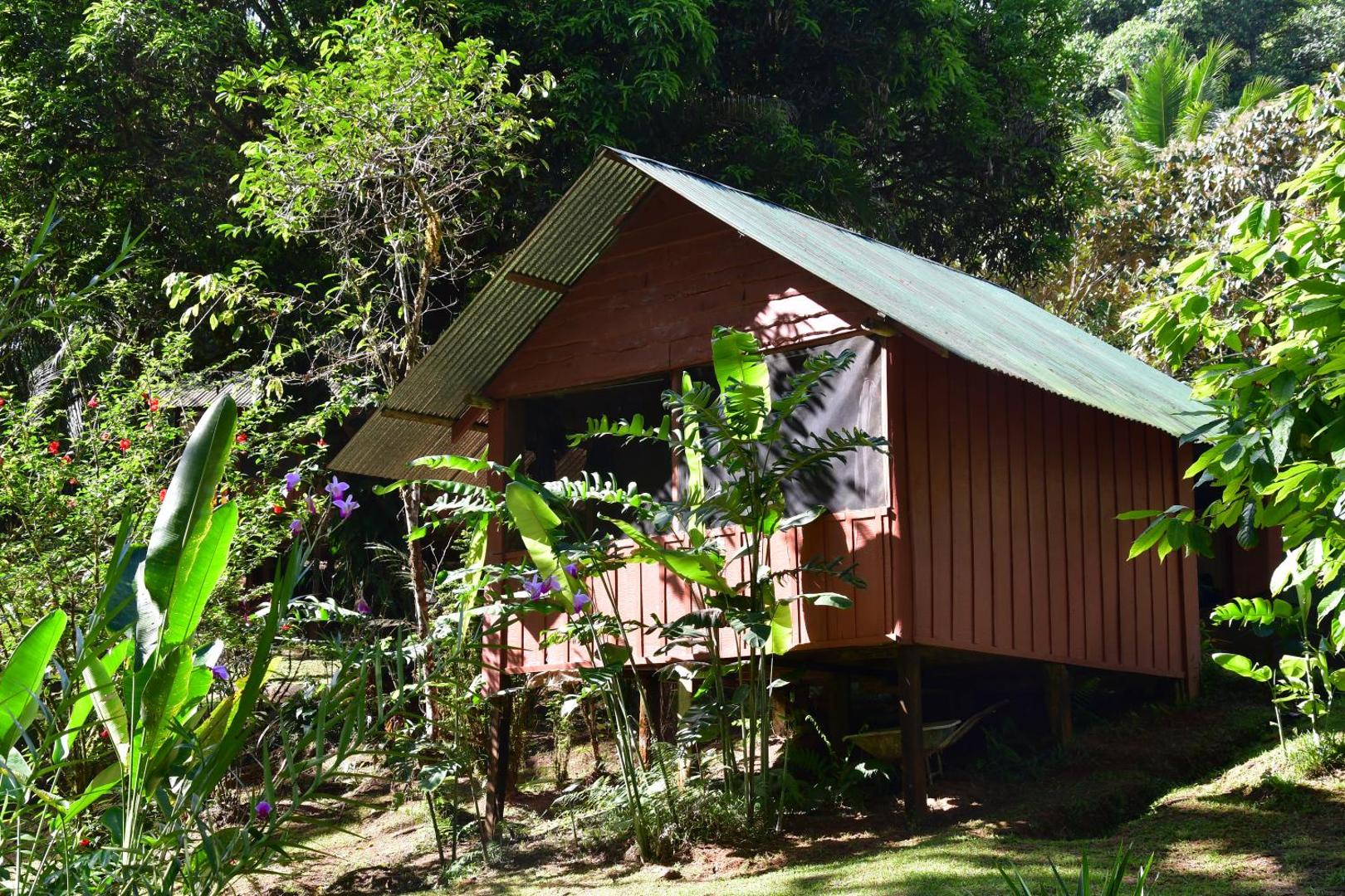 Estacion Biologica Tamandua
