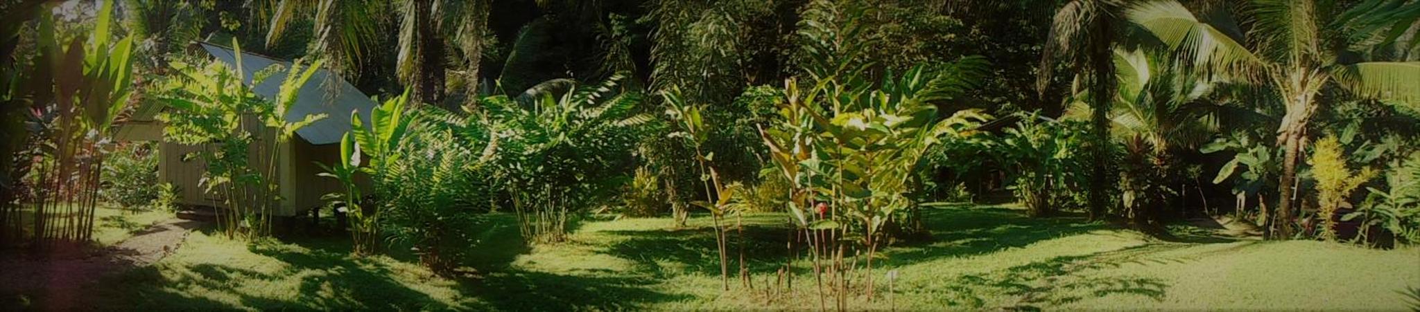 Estacion Biologica Tamandua