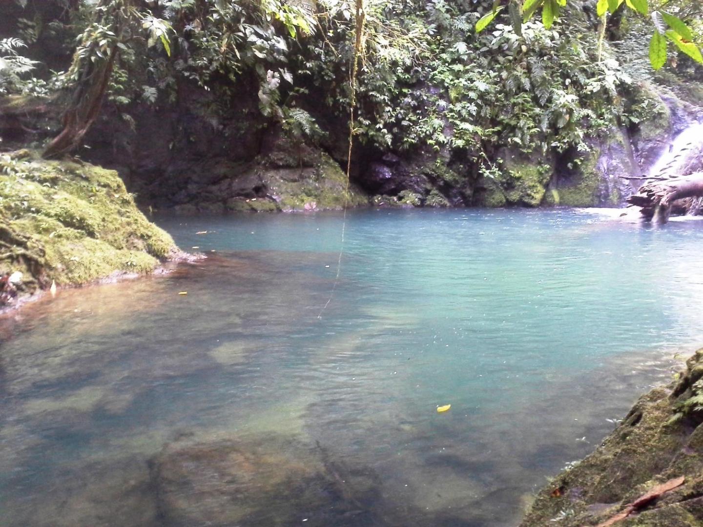 Estacion Biologica Tamandua