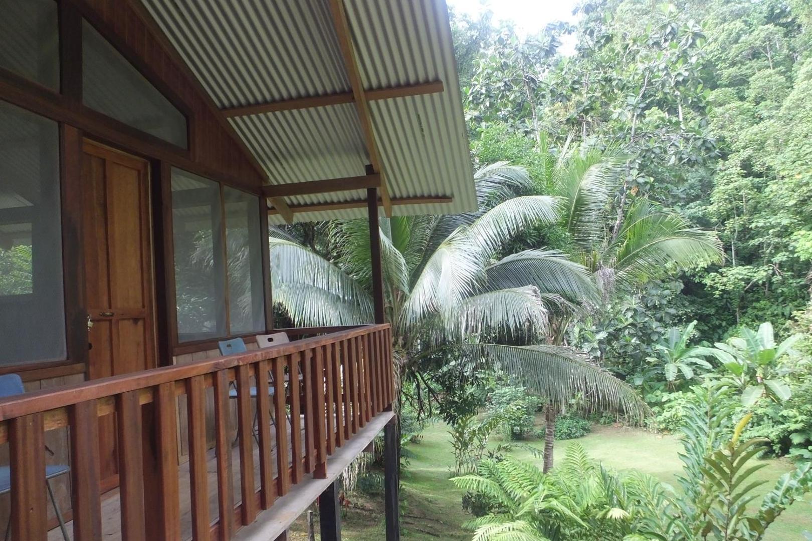 Estacion Biologica Tamandua