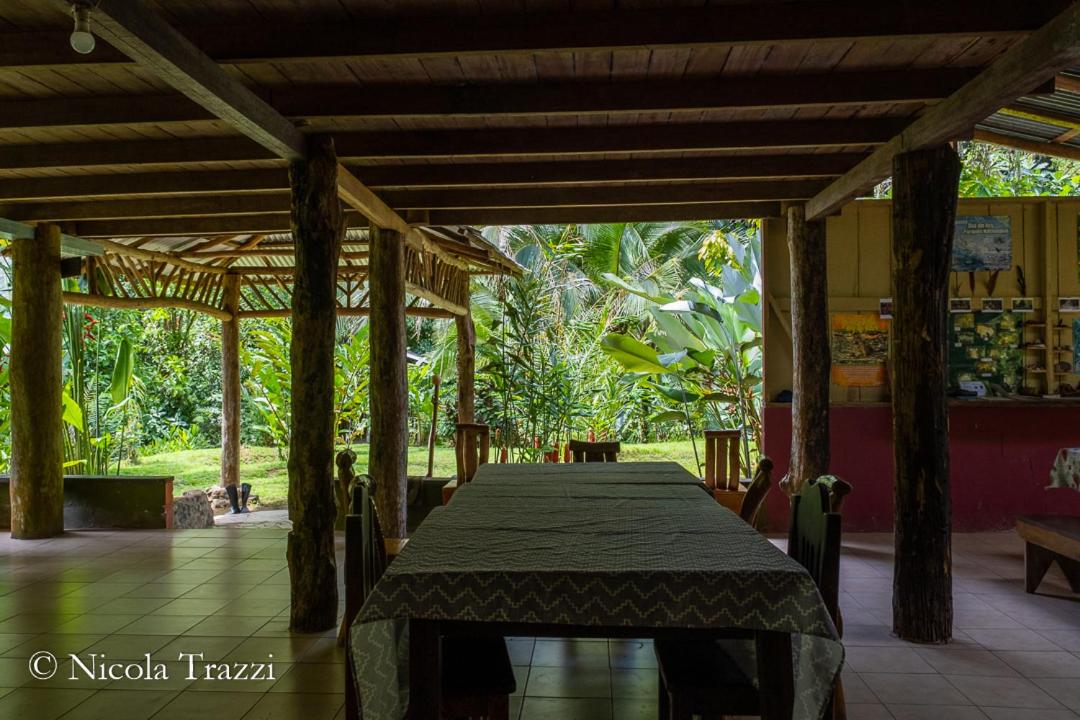 Estacion Biologica Tamandua