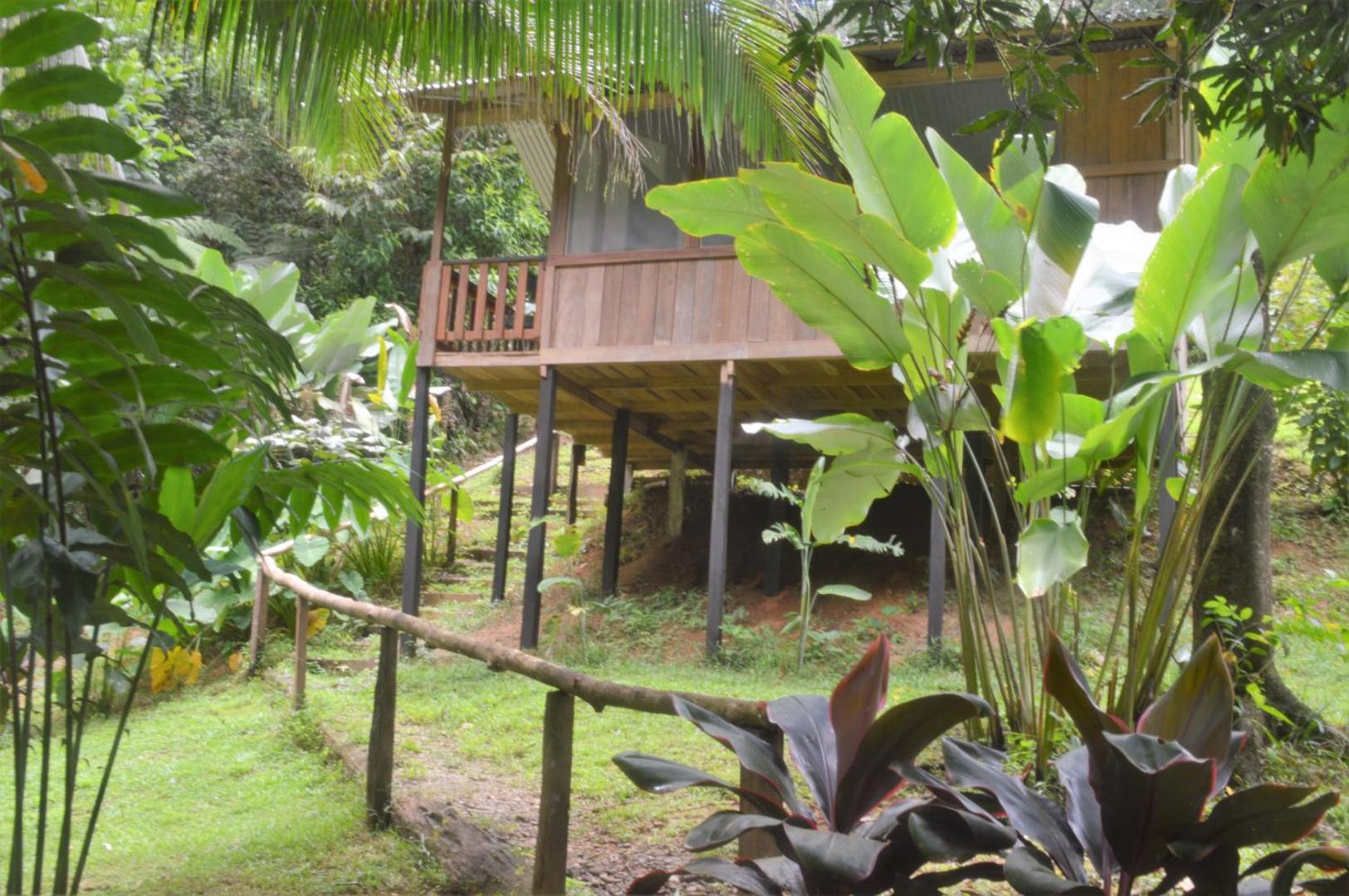Estacion Biologica Tamandua