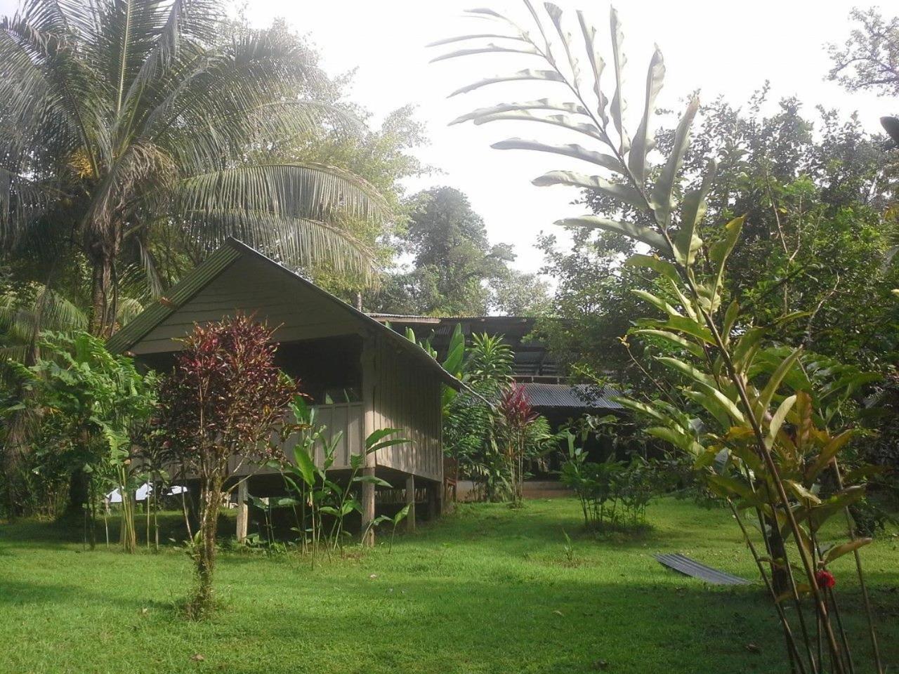 Estacion Biologica Tamandua