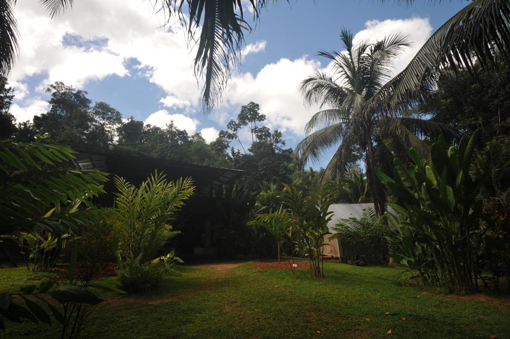Estacion Biologica Tamandua