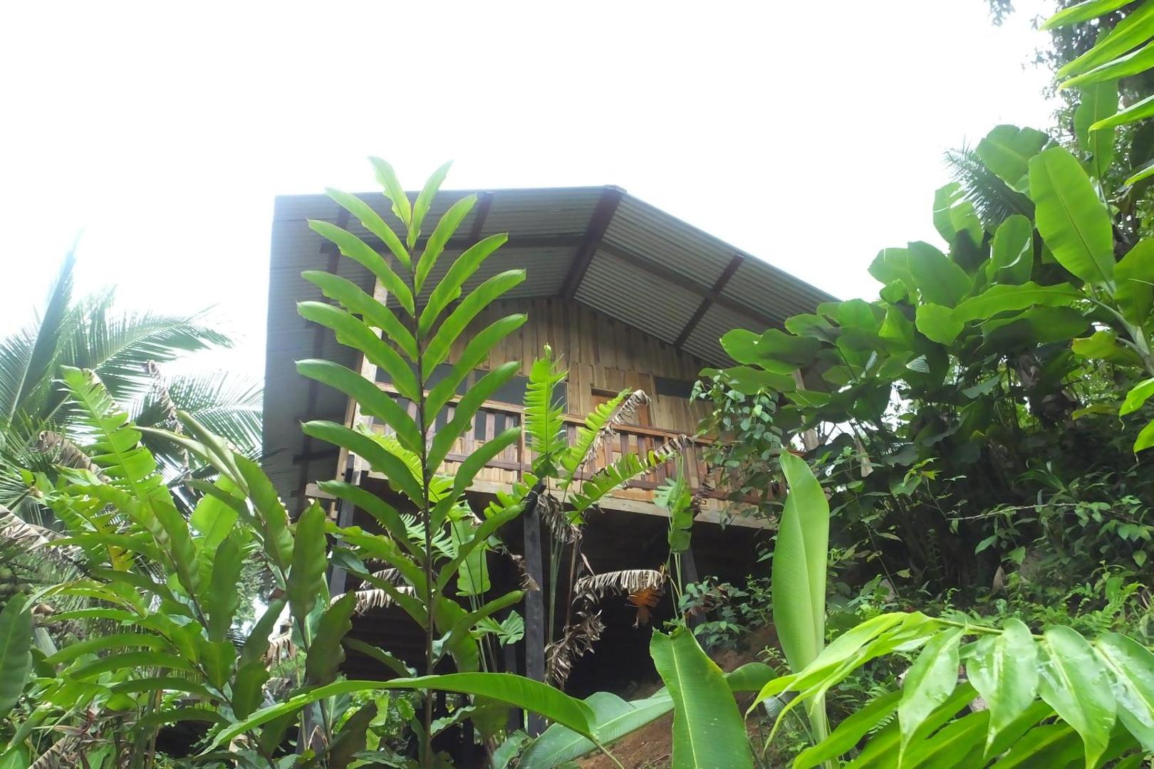 Estacion Biologica Tamandua