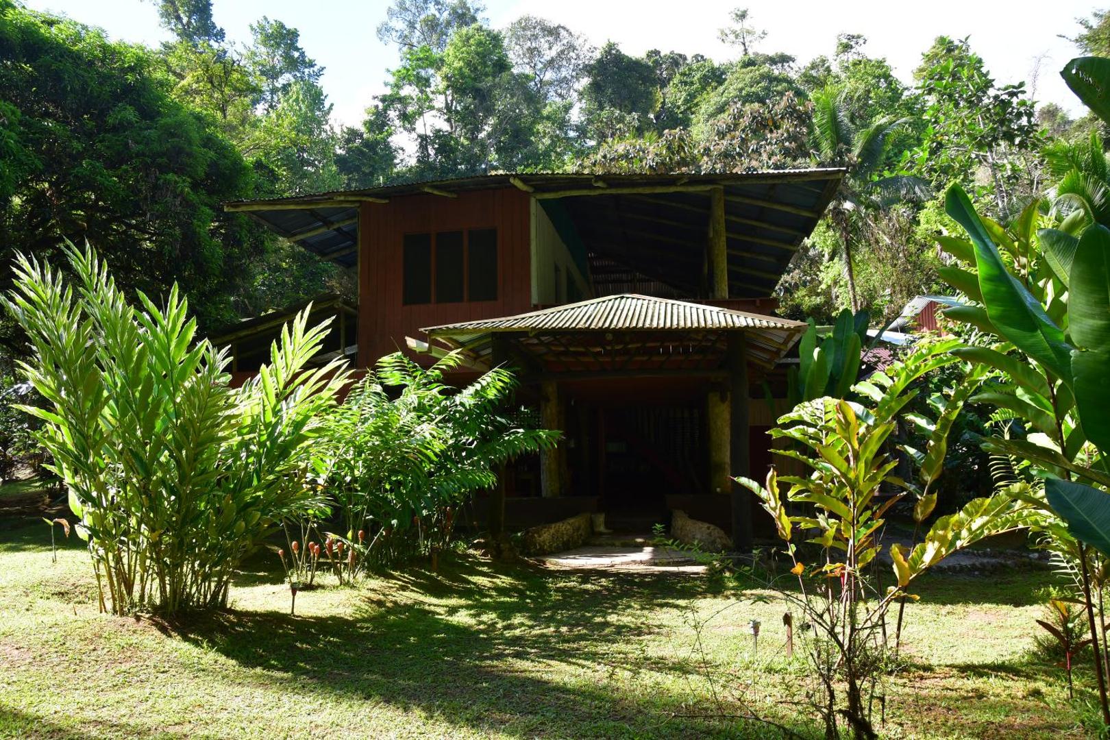 Estacion Biologica Tamandua
