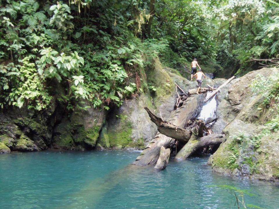 Estacion Biologica Tamandua