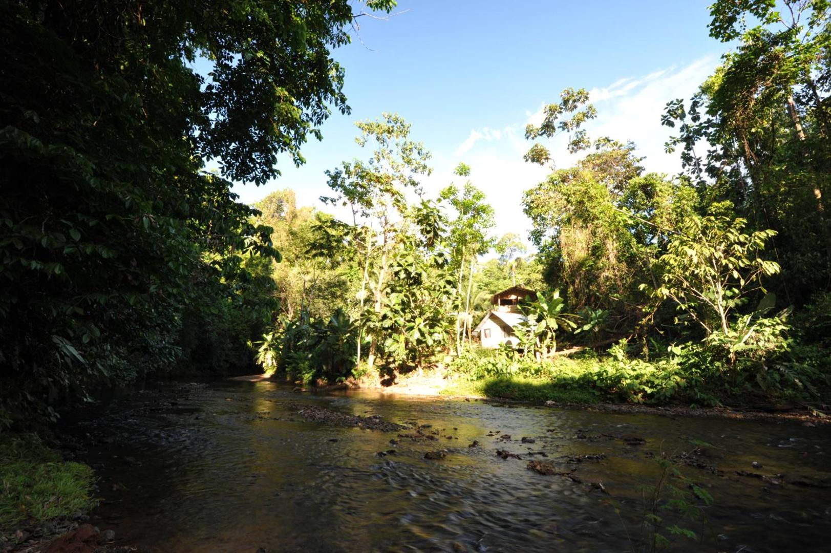 Estacion Biologica Tamandua