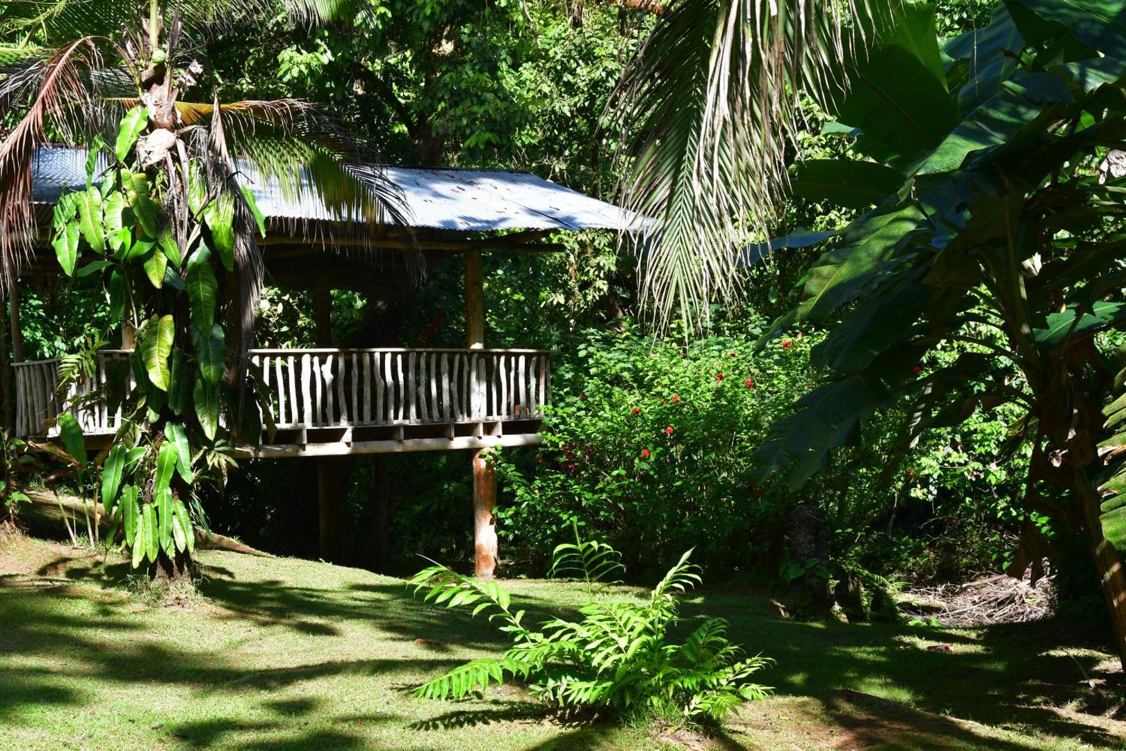 Estacion Biologica Tamandua