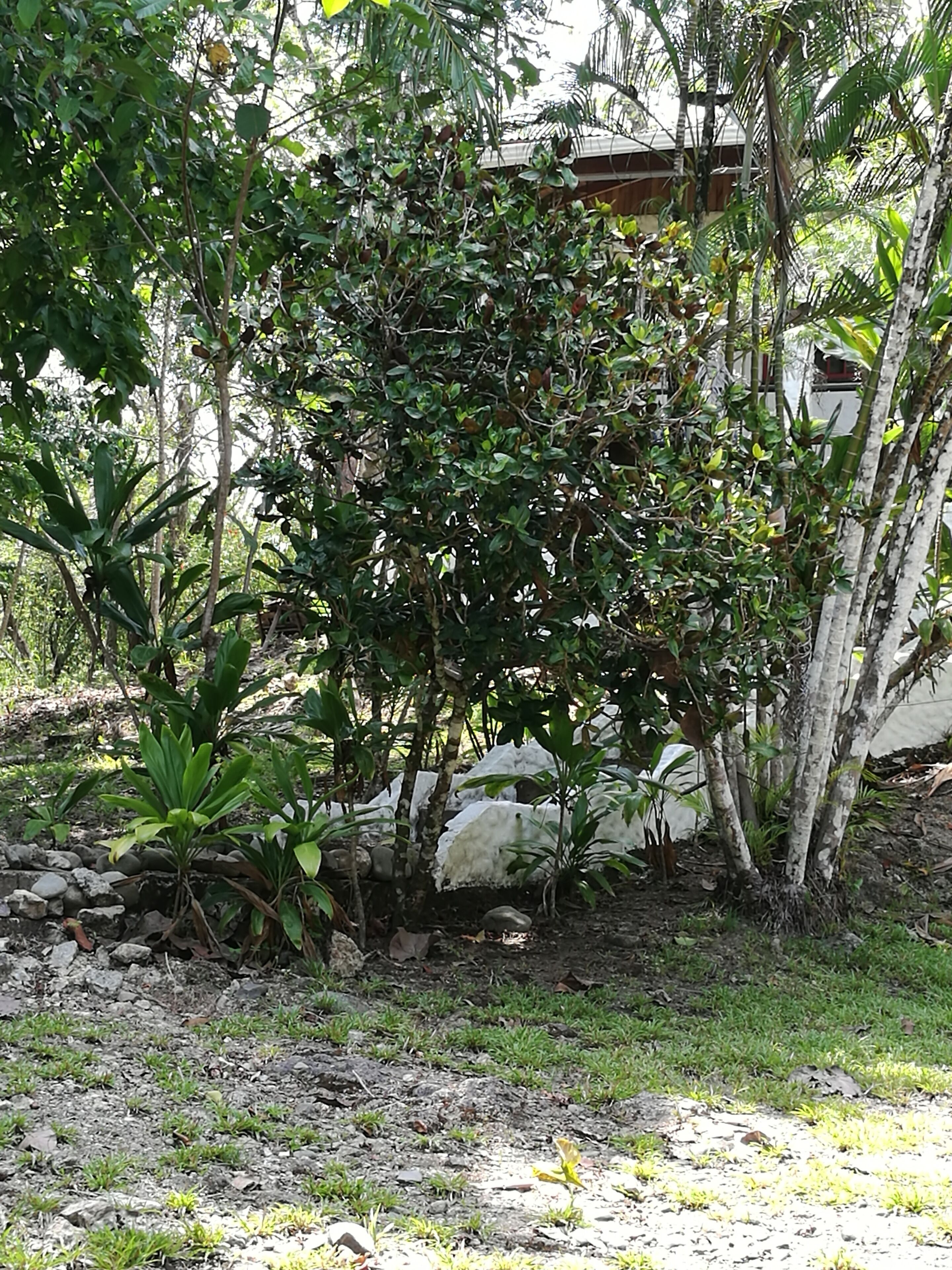 Manuel Antonio Comfort Casa Macao