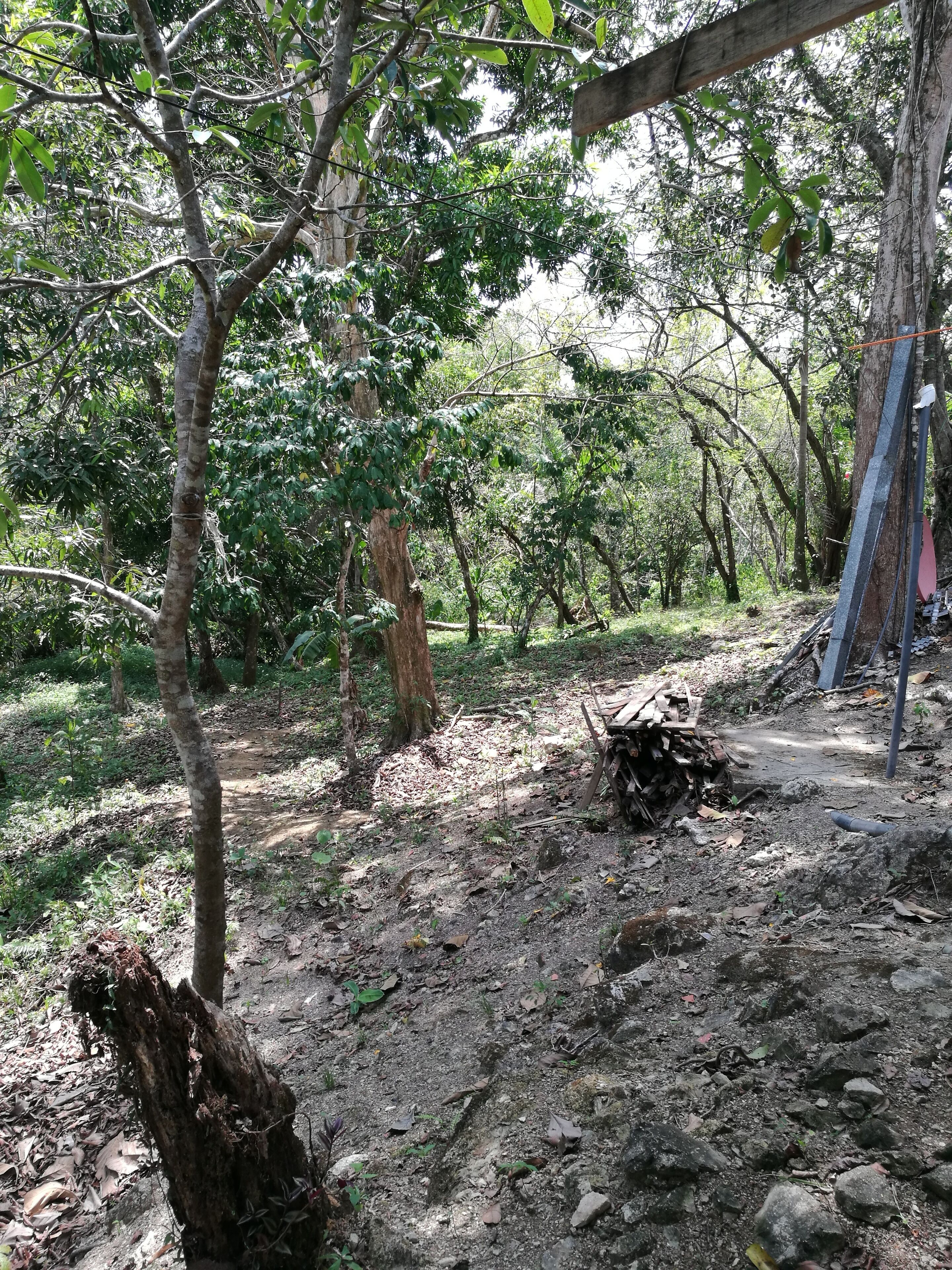 Manuel Antonio Comfort Casa Macao