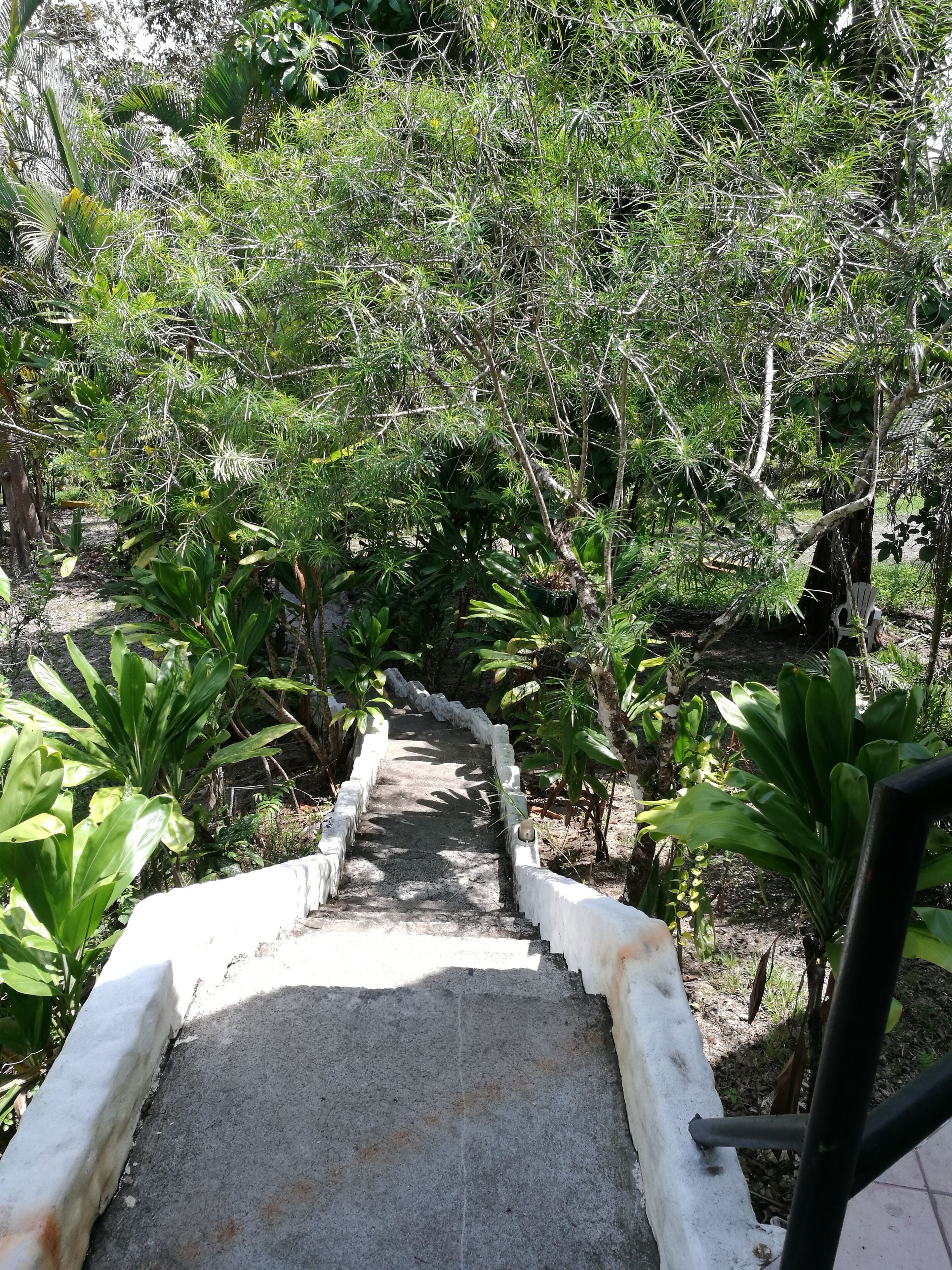 Manuel Antonio Comfort Casa Macao