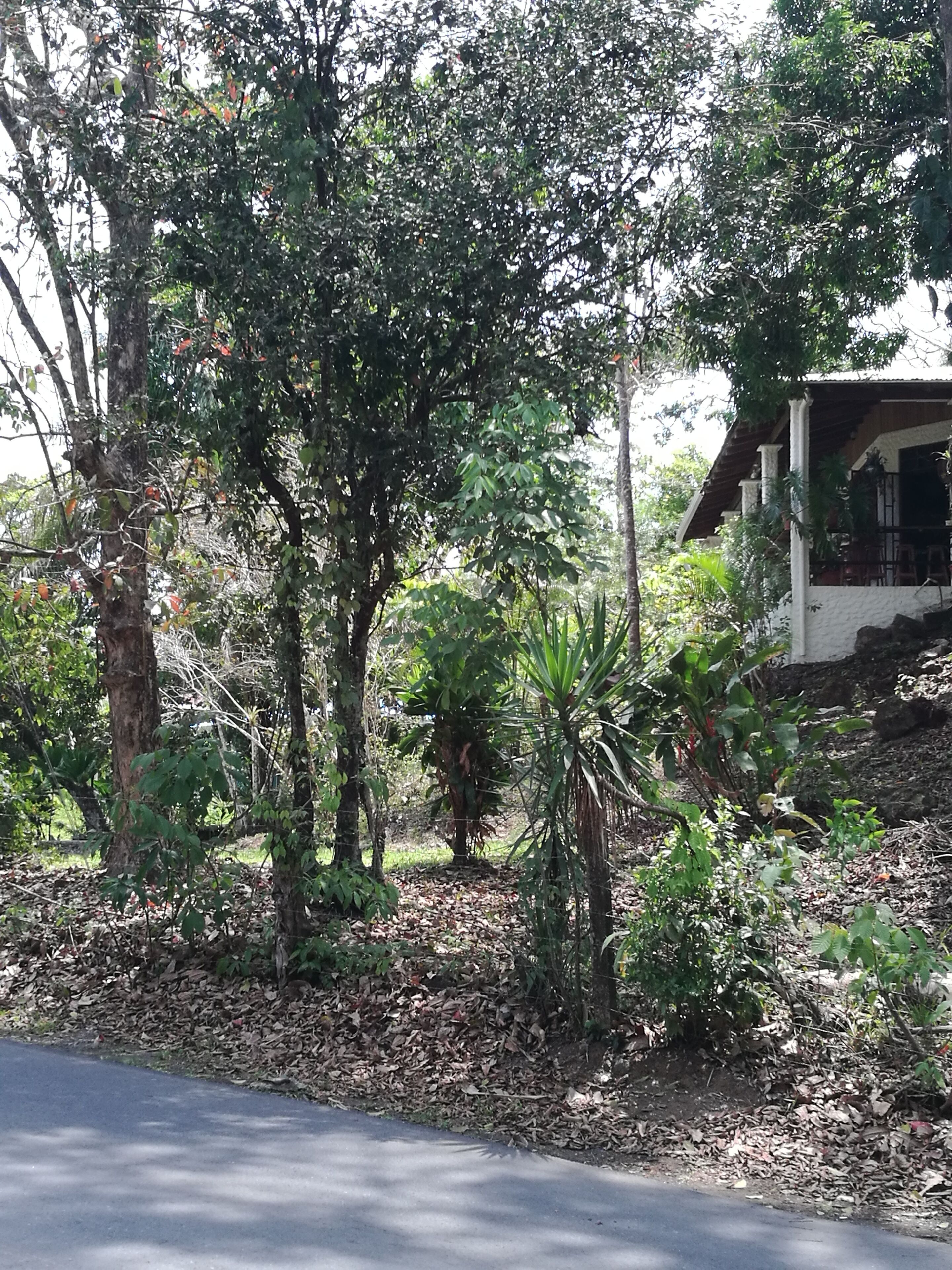 Manuel Antonio Comfort Casa Macao