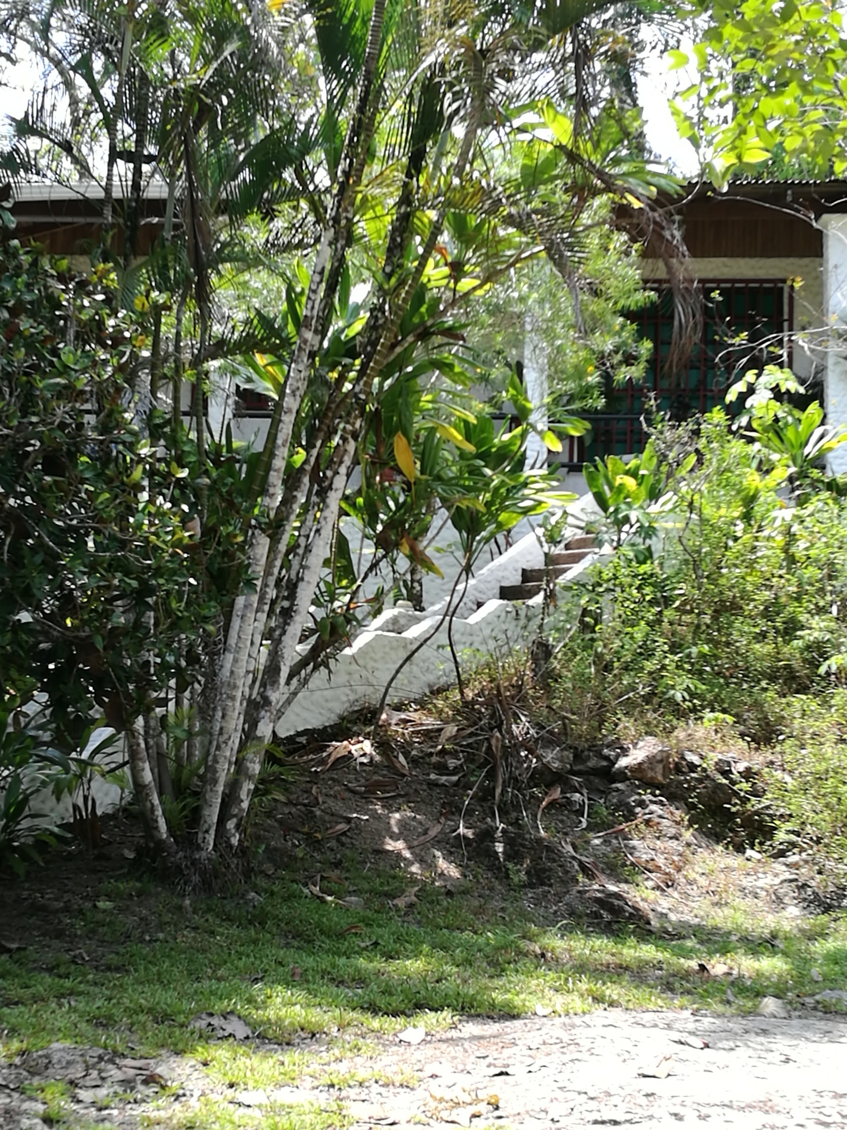 Manuel Antonio Comfort Casa Macao