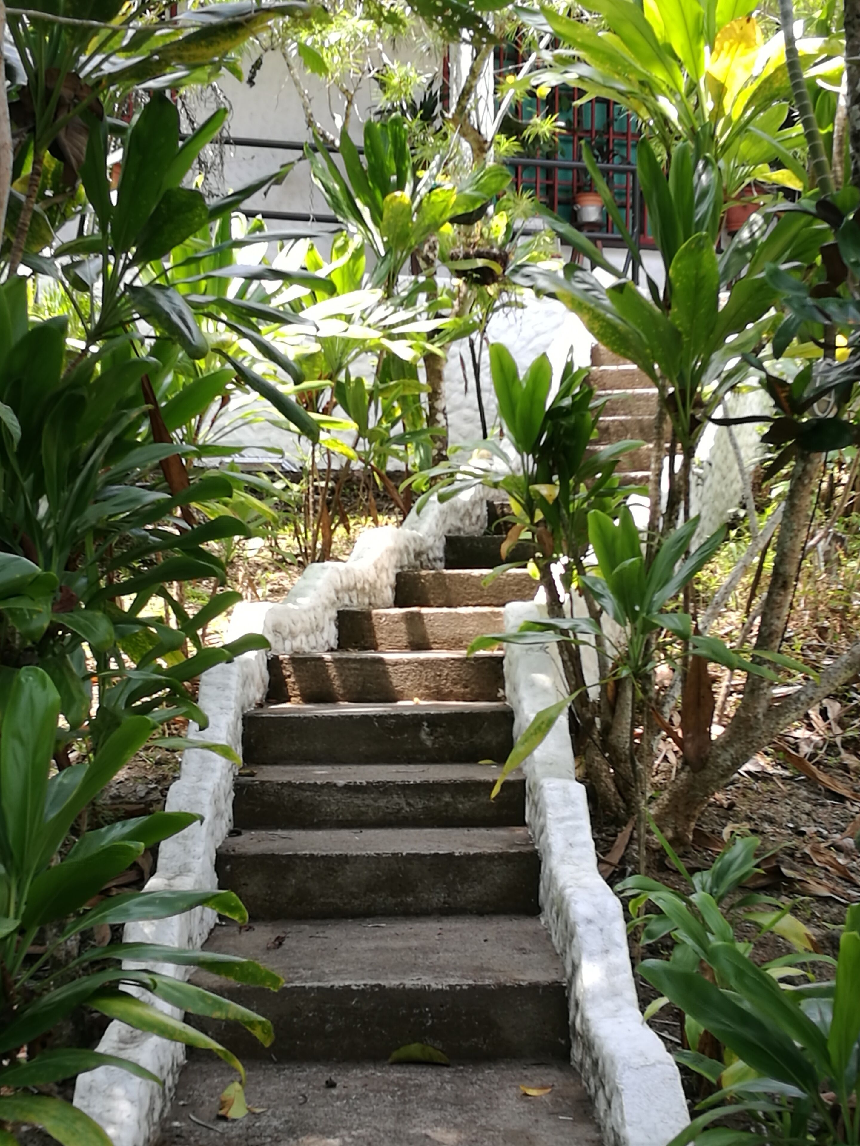 Manuel Antonio Comfort Casa Macao