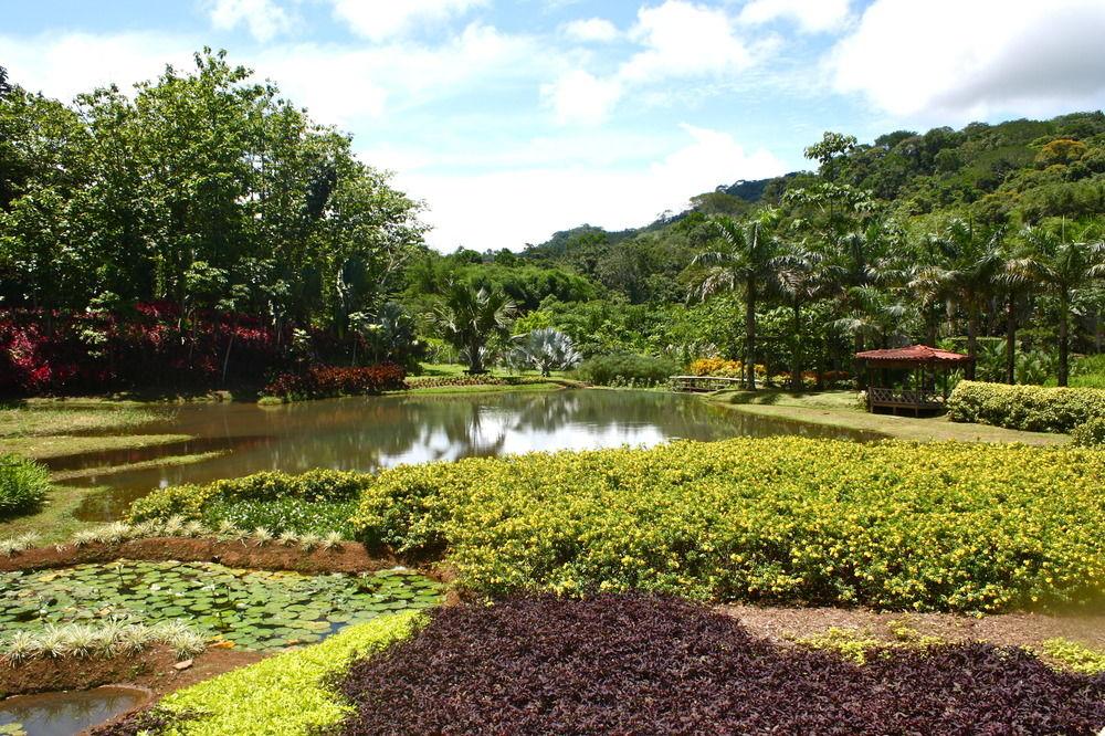Macaw Lodge