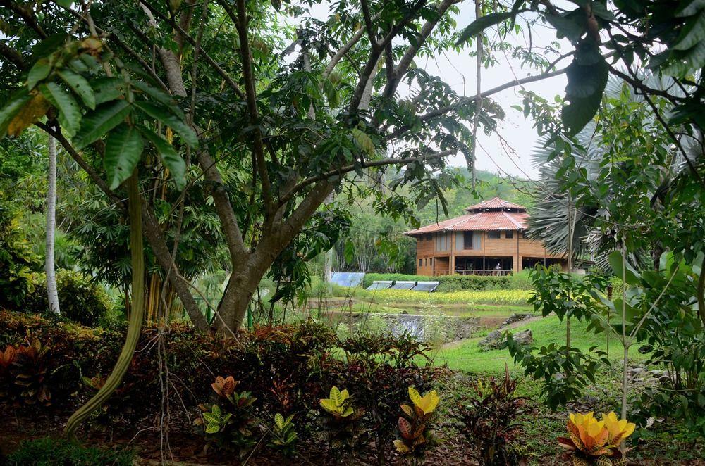 Macaw Lodge