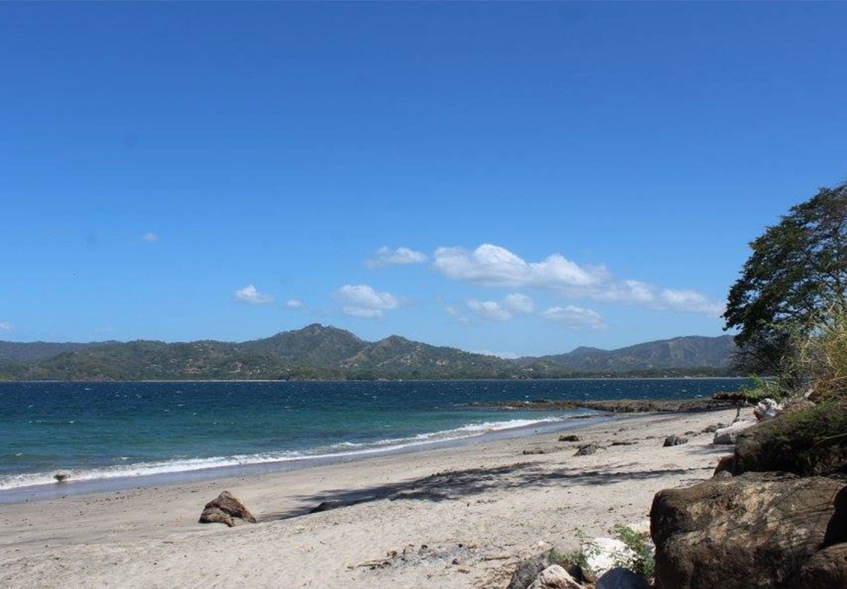 Flamingo Marina Resort