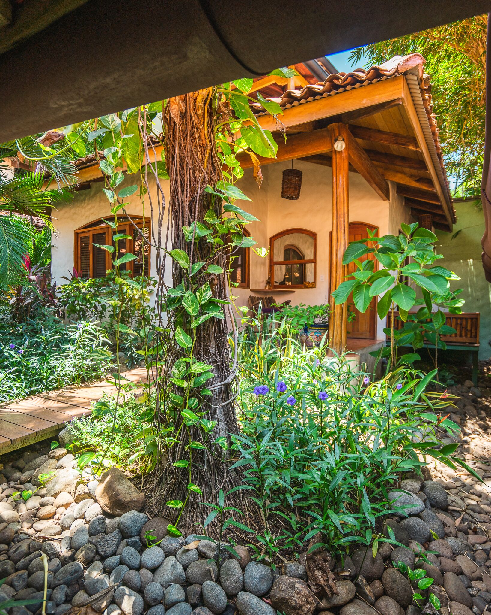 Sueno del Mar Beachfront Bed & Breakfast