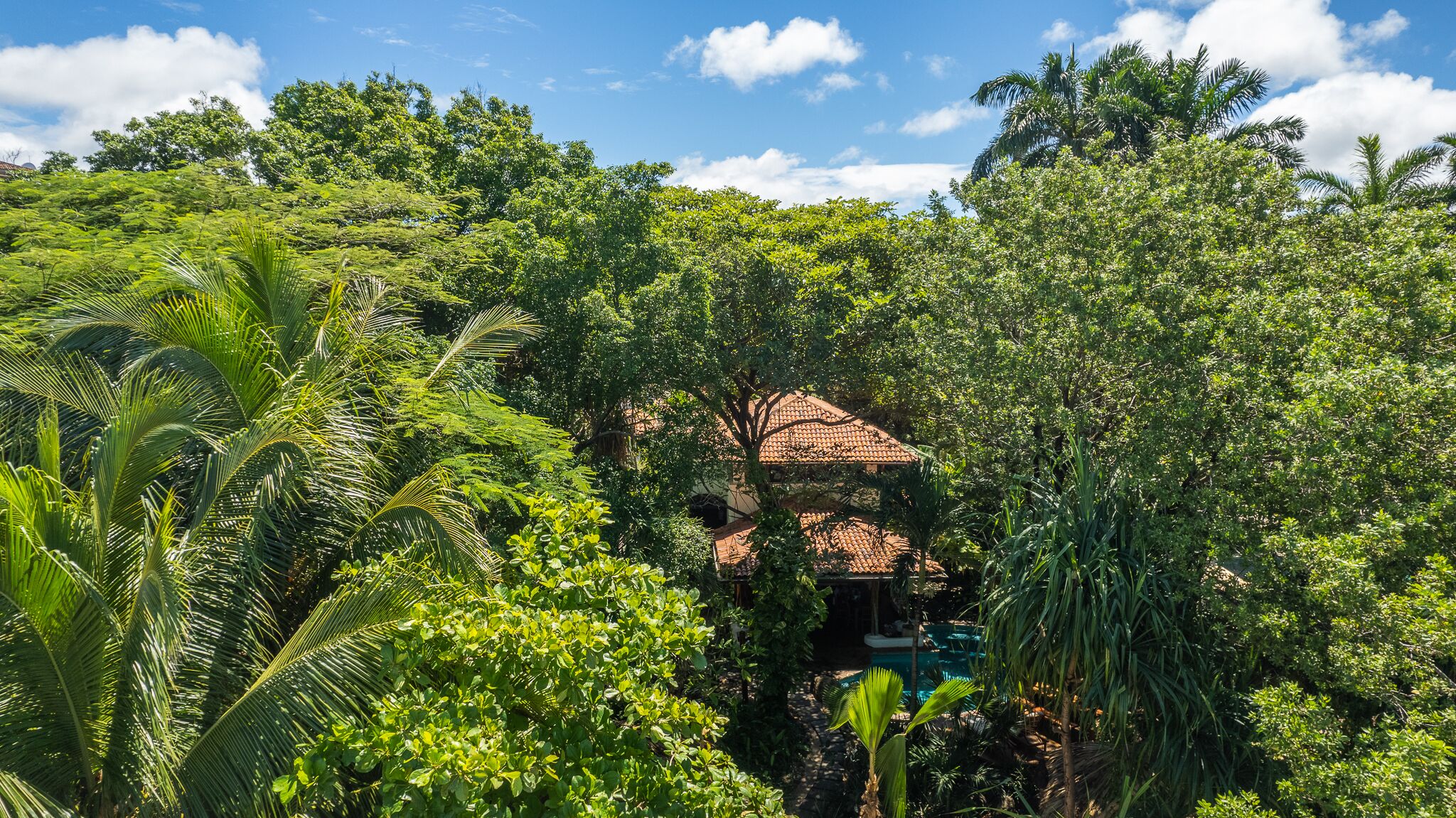 Sueno del Mar Beachfront Bed & Breakfast