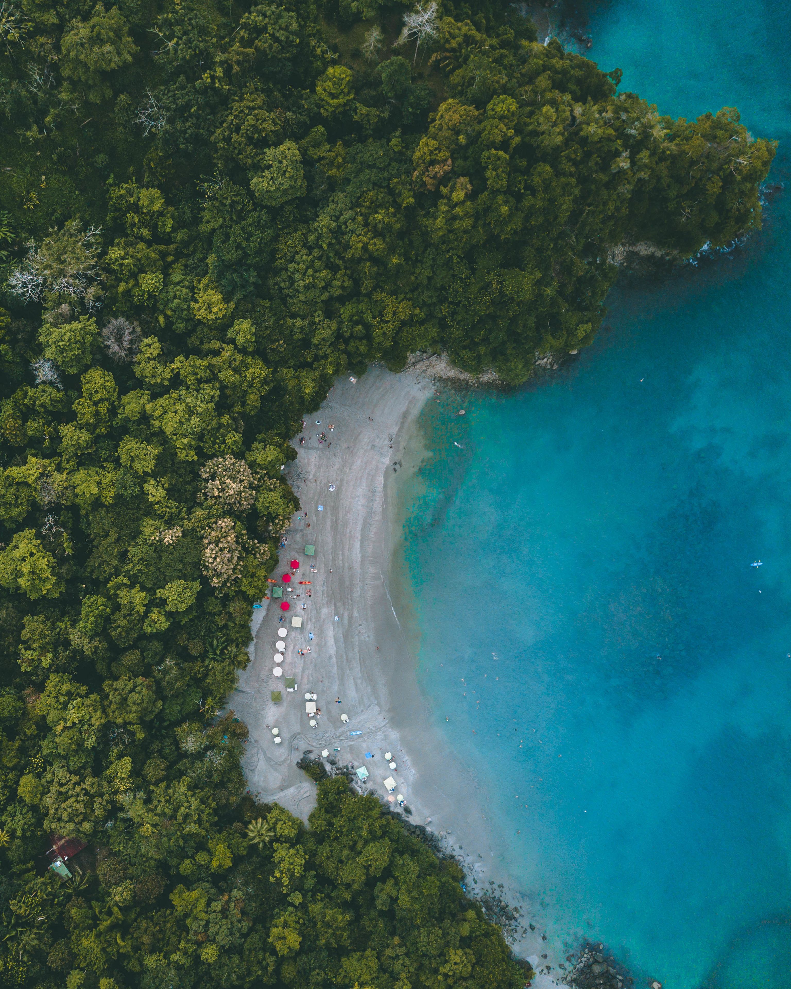 Gaia Hotel & Reserve