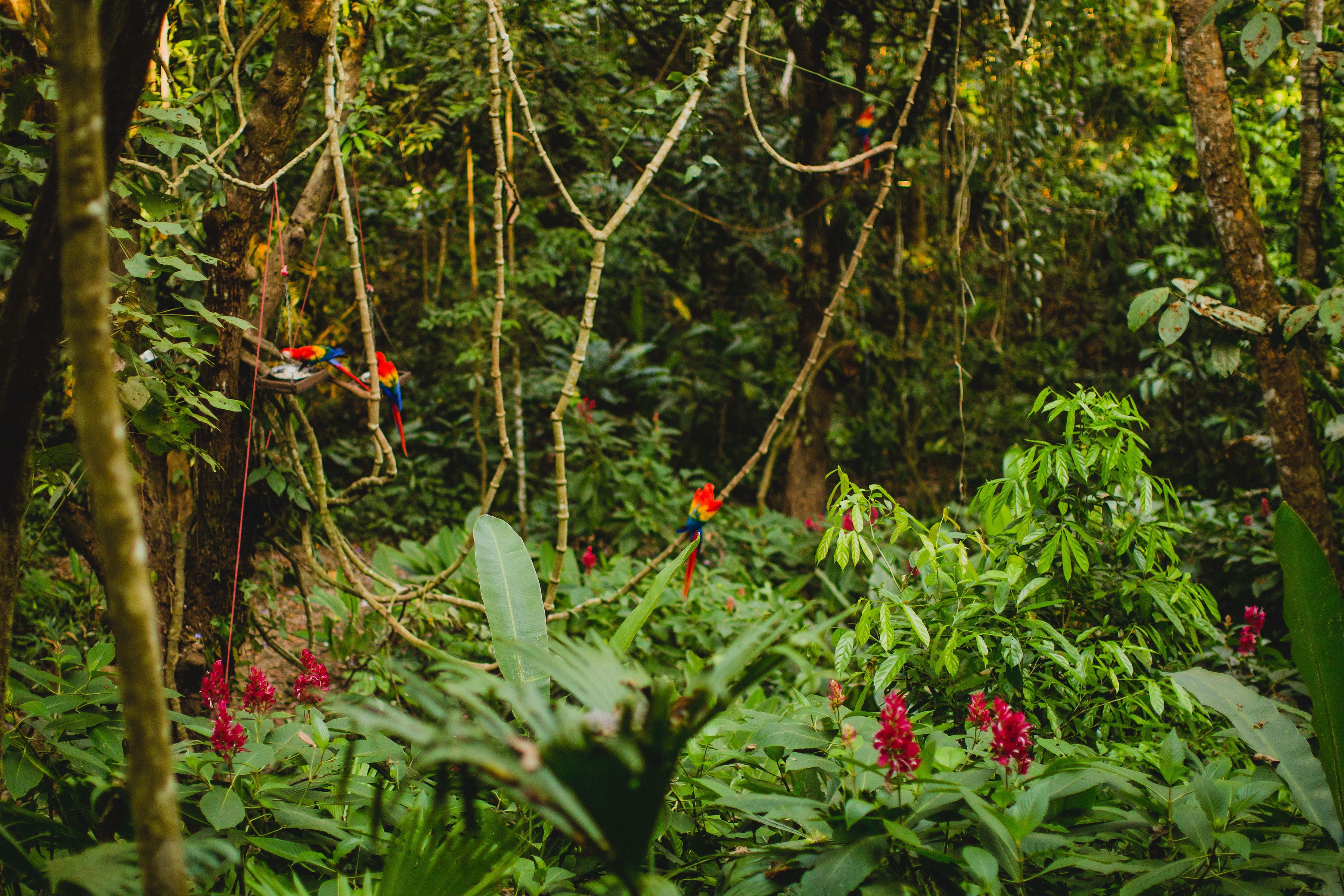 Gaia Hotel & Reserve