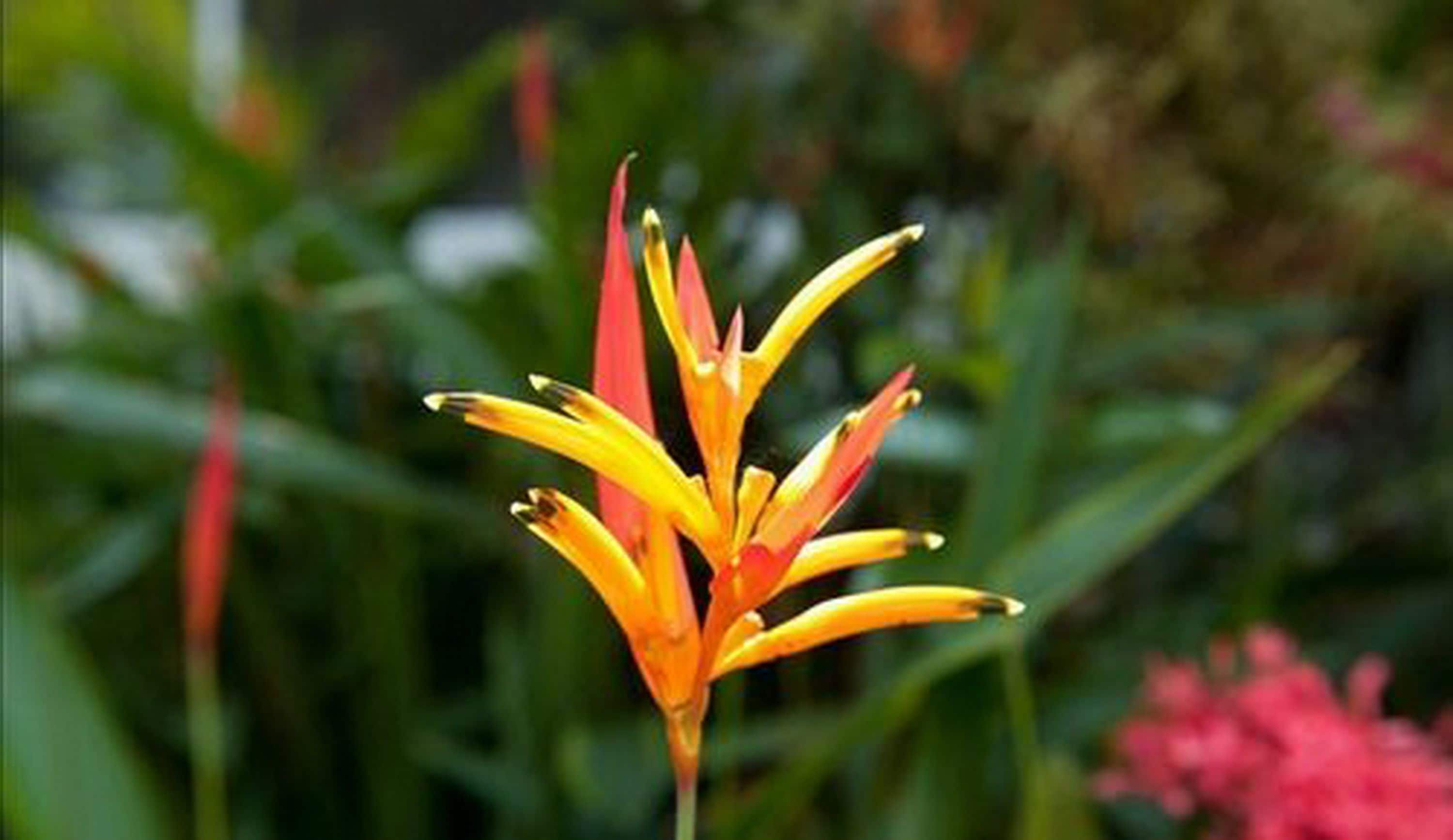 Gaia Hotel & Reserve