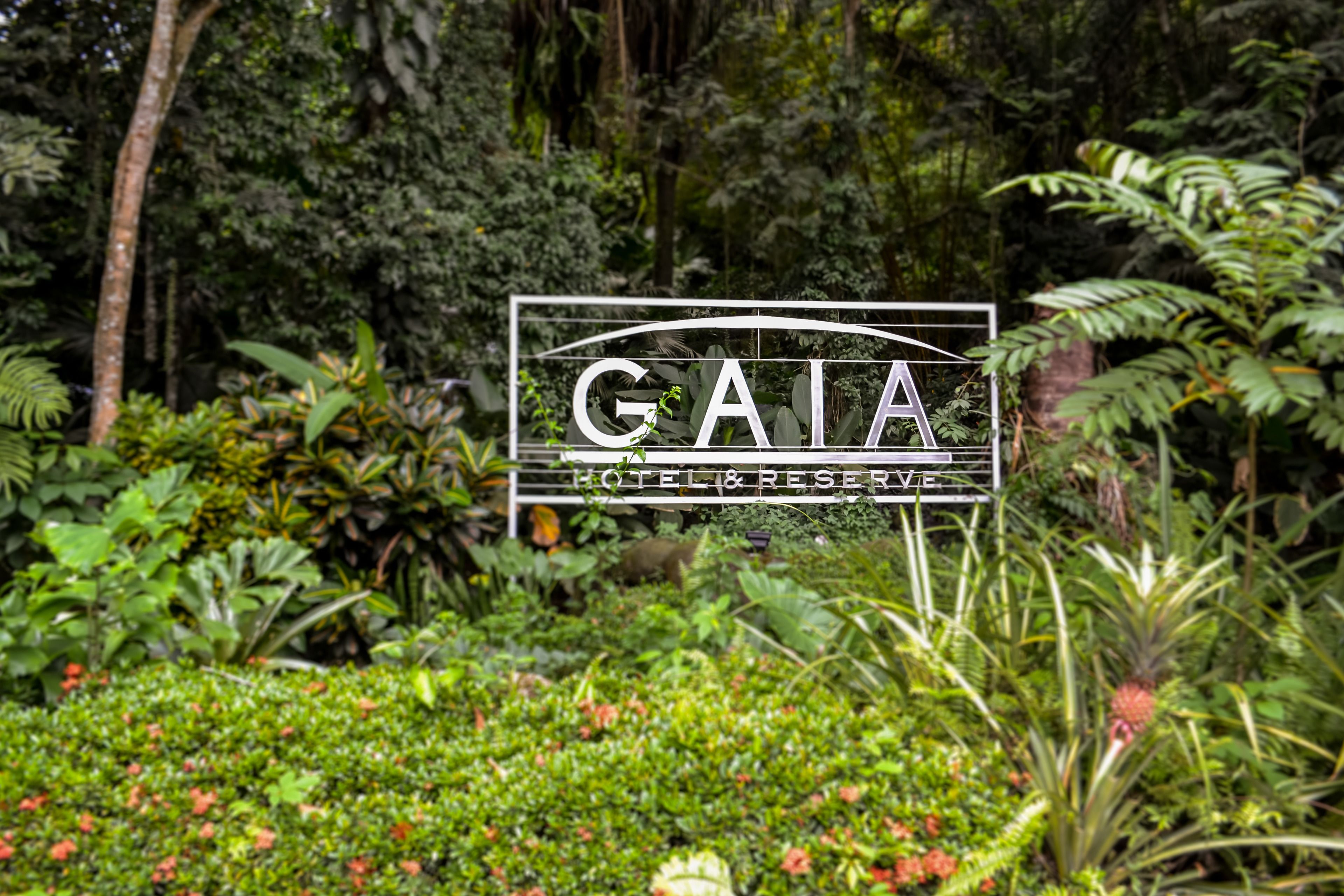 Gaia Hotel & Reserve