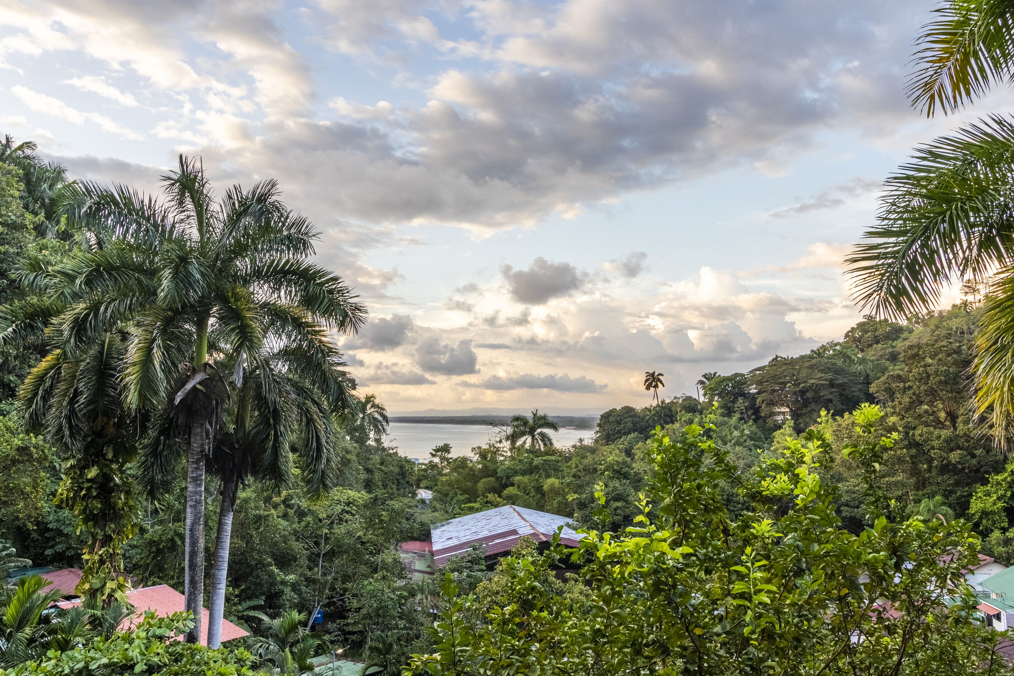 Las Cascadas The Falls Condotel