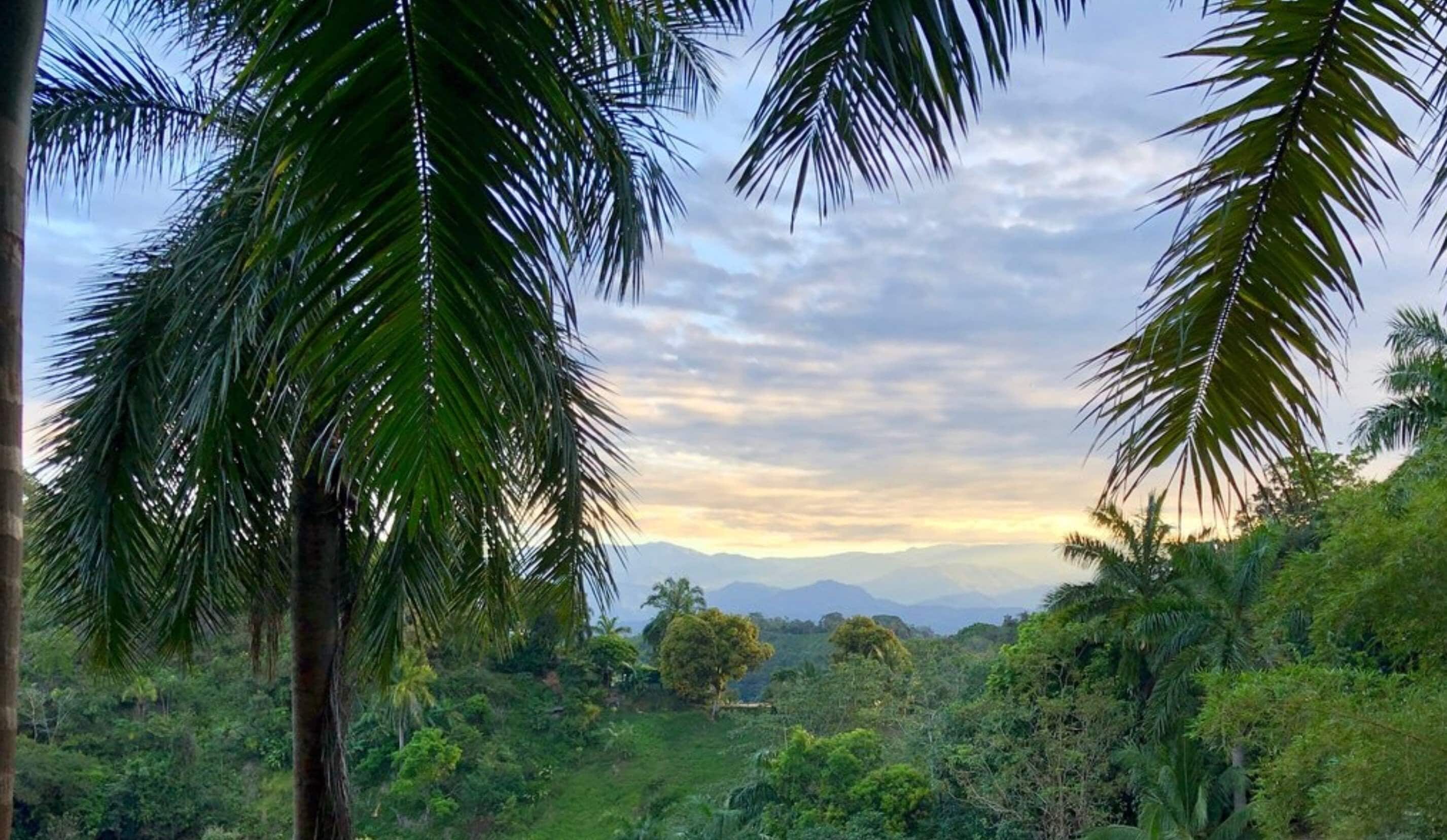 Las Cascadas The Falls Condotel