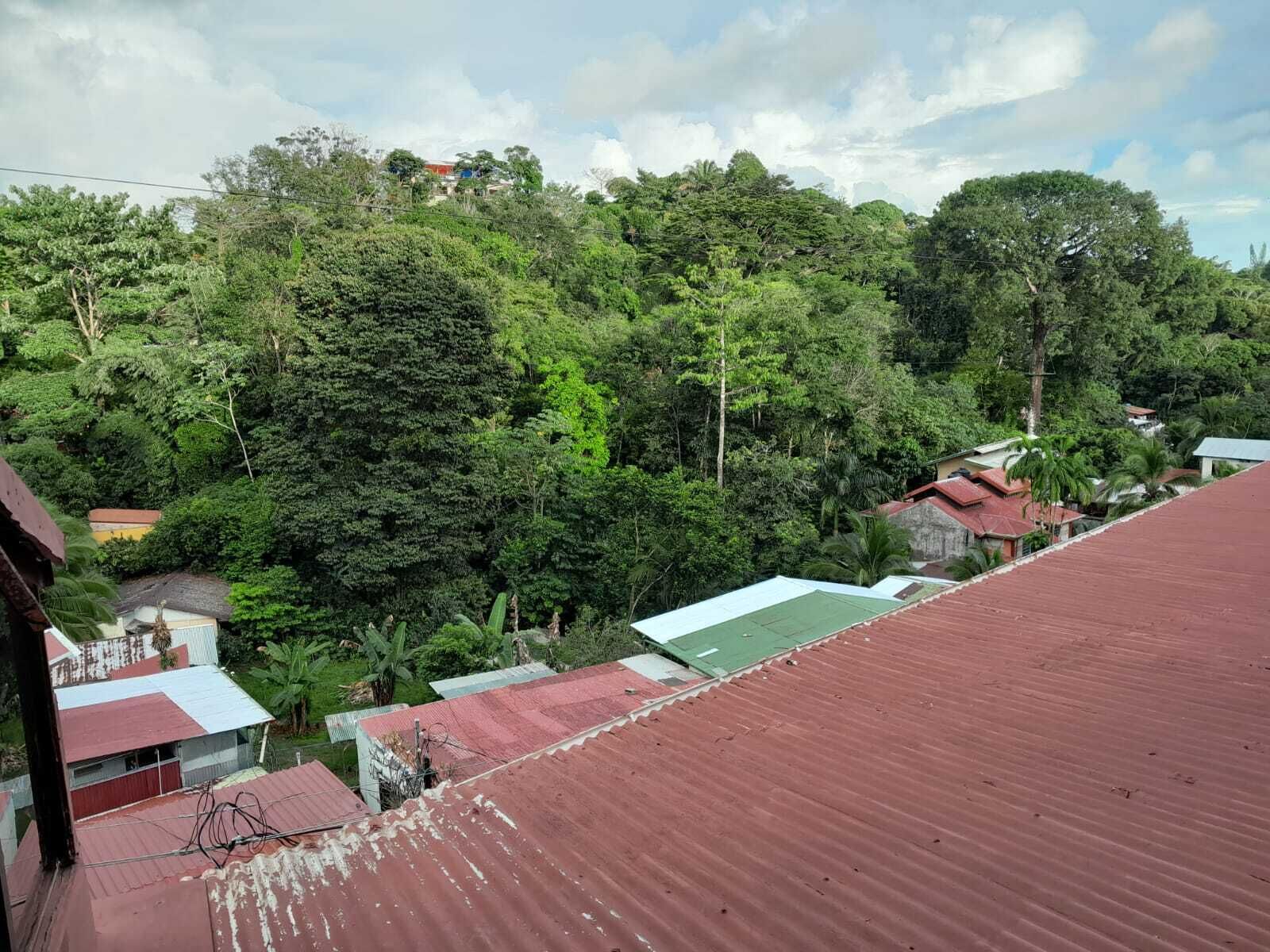 Natural Pacific Suites