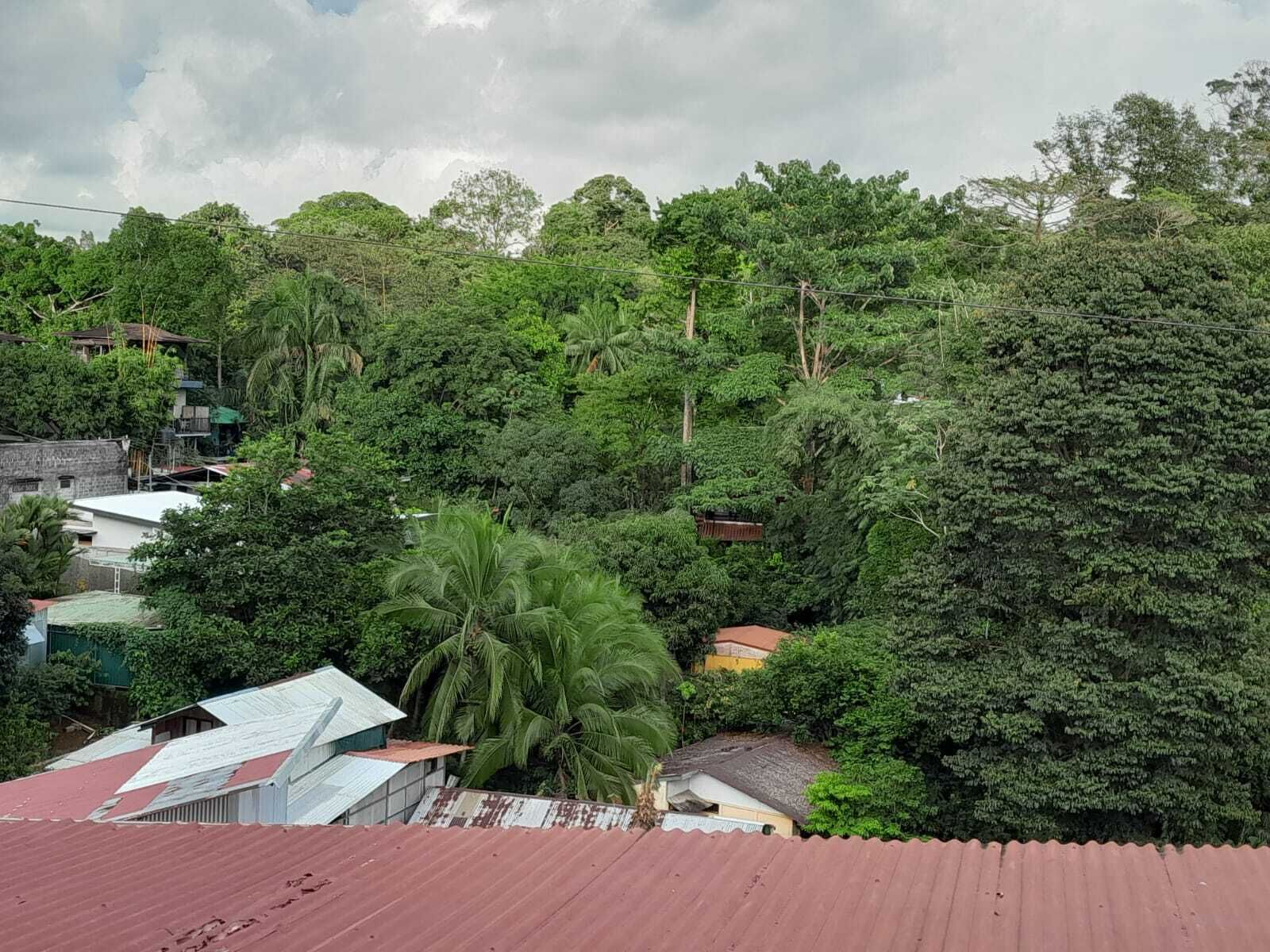 Natural Pacific Suites