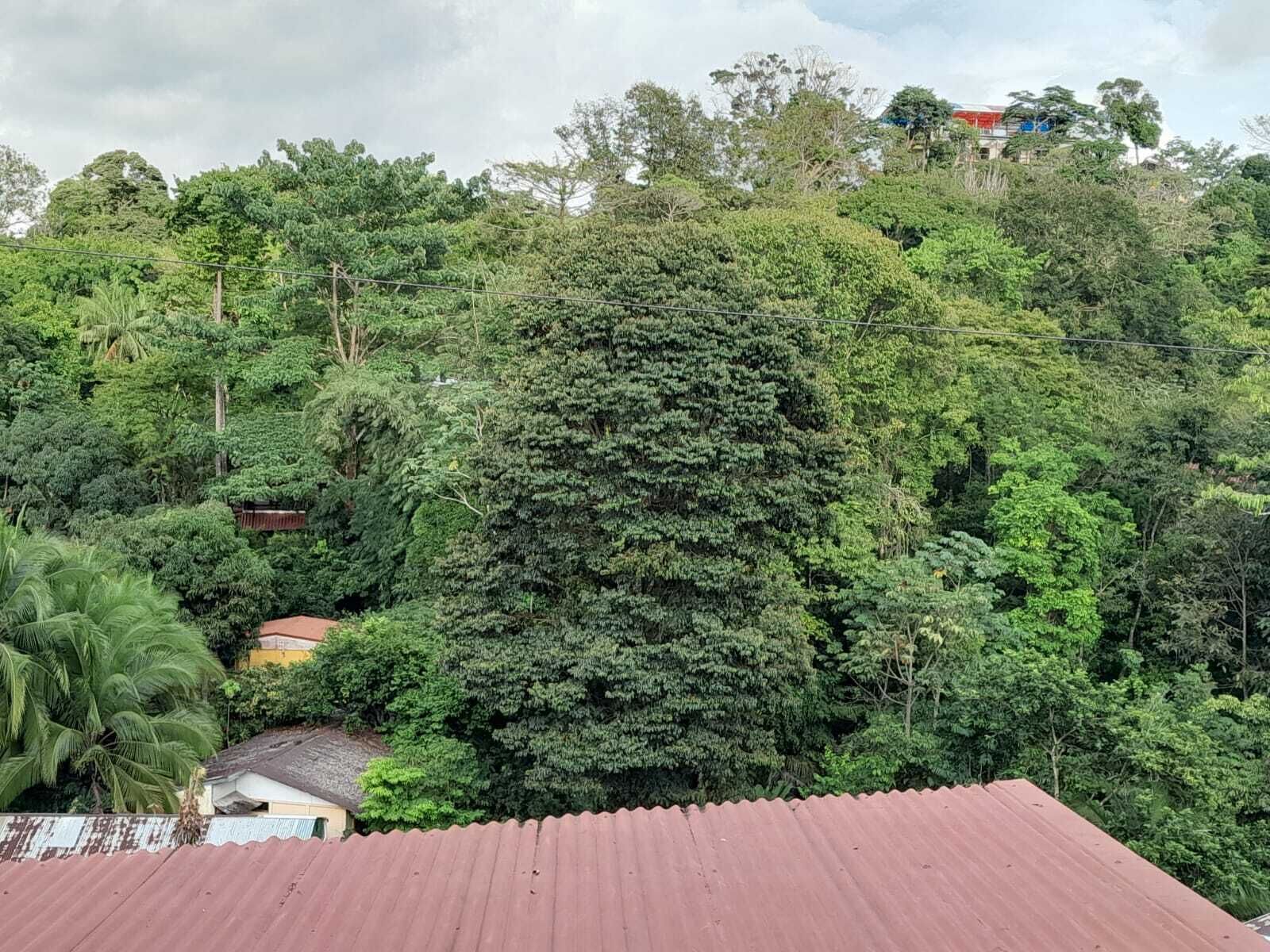 Natural Pacific Suites