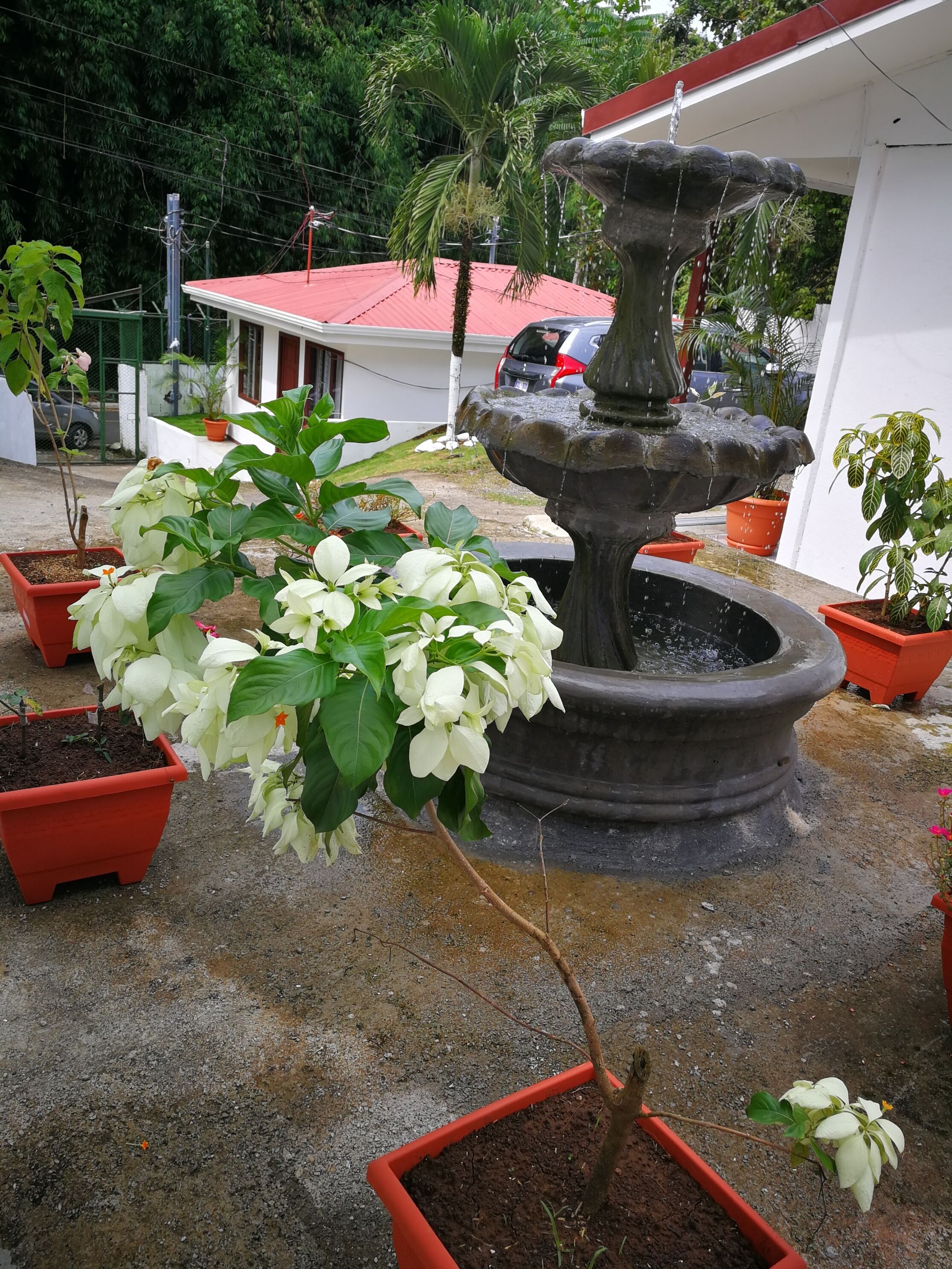 Casa Familiar Villa Aura