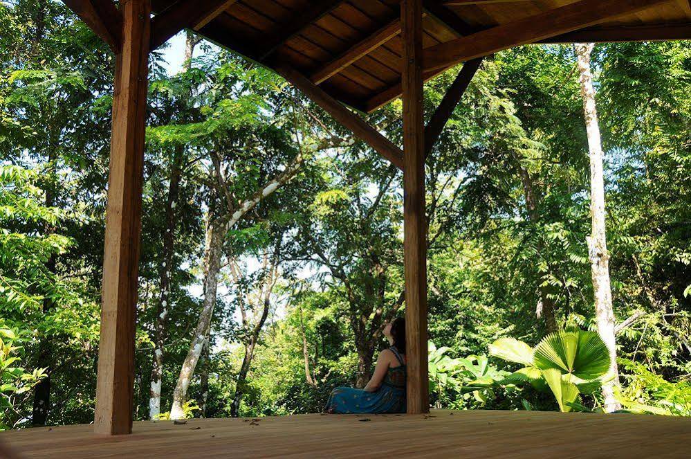 Tiskita Jungle Lodge
