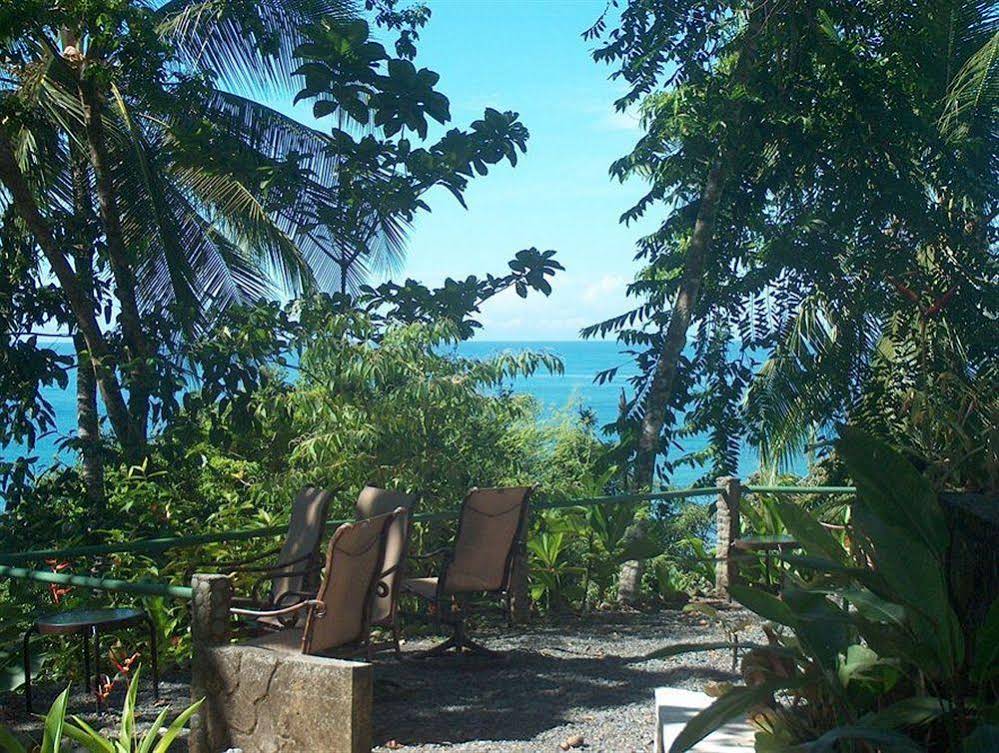 Tiskita Jungle Lodge