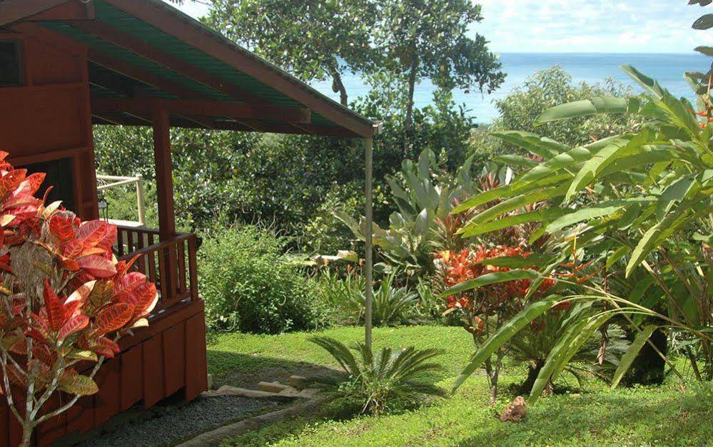 Tiskita Jungle Lodge