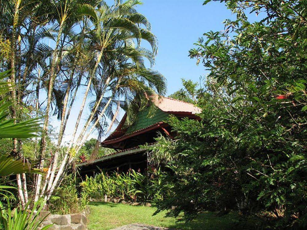 Tiskita Jungle Lodge