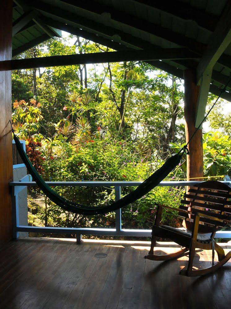 Tiskita Jungle Lodge