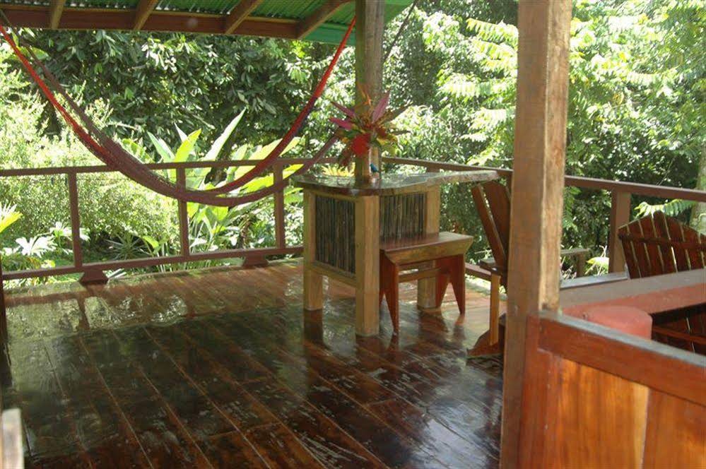 Tiskita Jungle Lodge